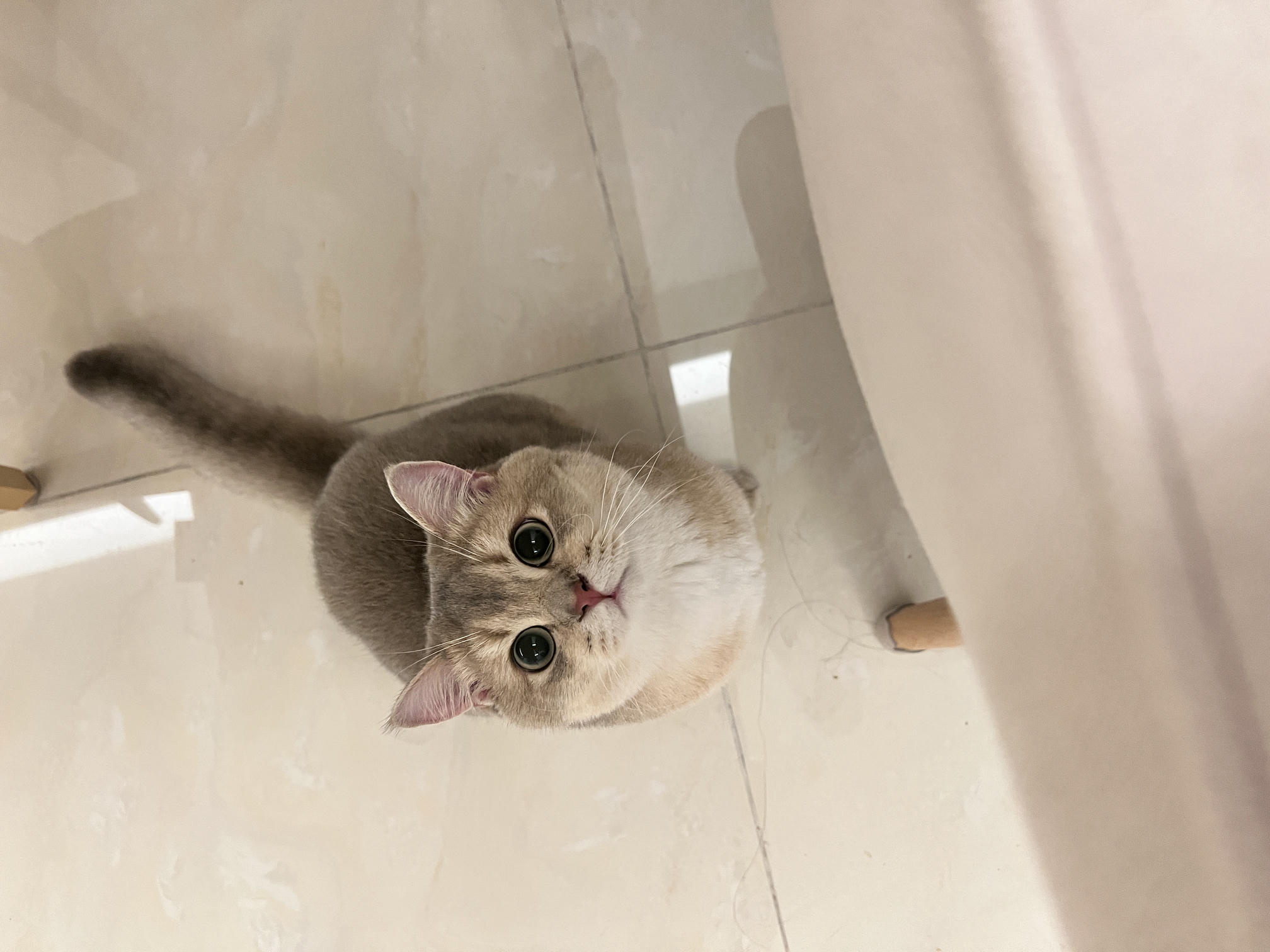 眼酱大魔王w NO.058 23年4月 fantia订阅[38P-2V-179.1M]-動画セクシー女医さん②_第1集