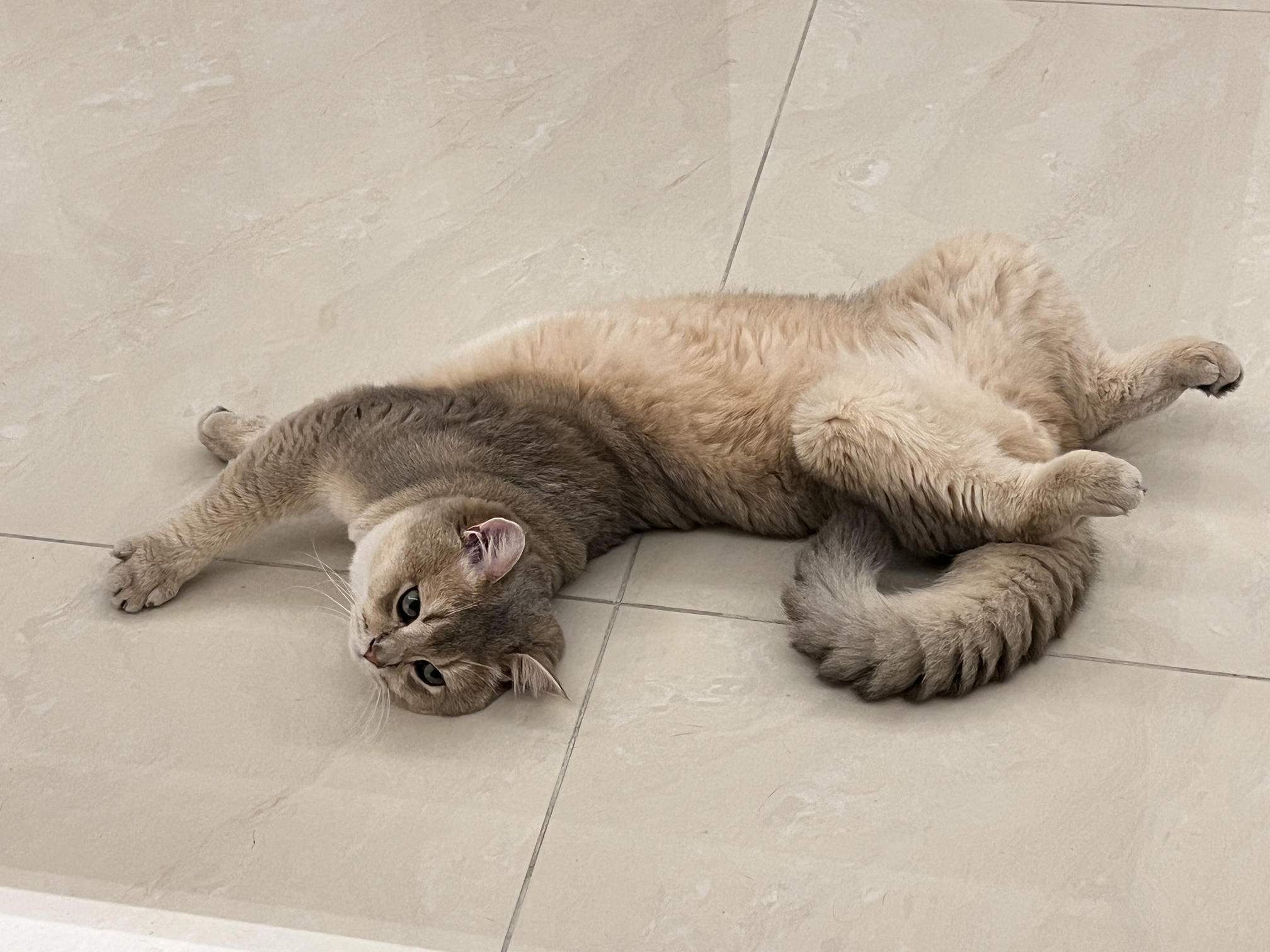 眼酱大魔王w NO.058 23年4月 fantia订阅[38P-2V-179.1M]-動画セクシー女医さん②_第1集