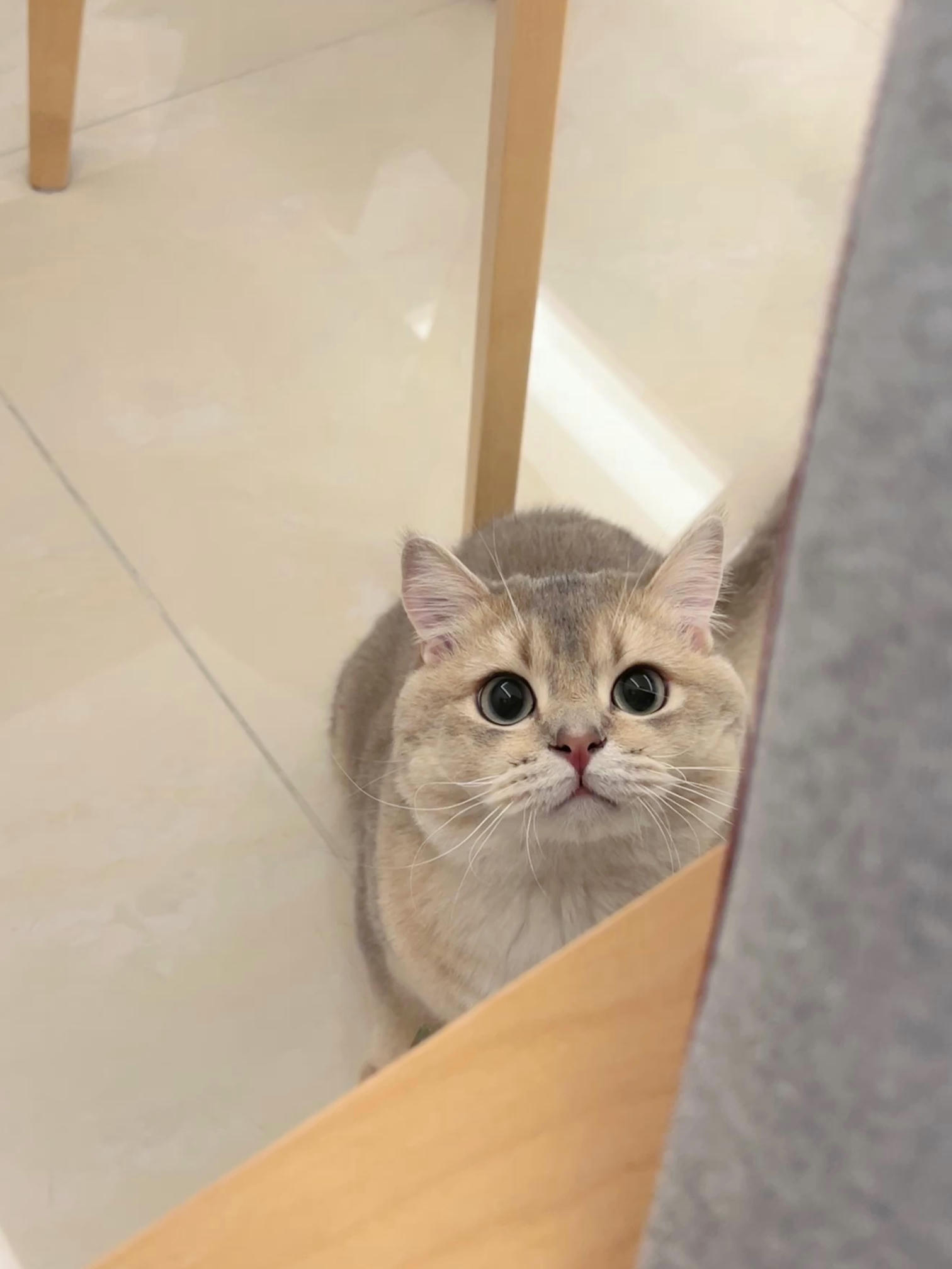 眼酱大魔王w NO.058 23年4月 fantia订阅[38P-2V-179.1M]-花_第1集