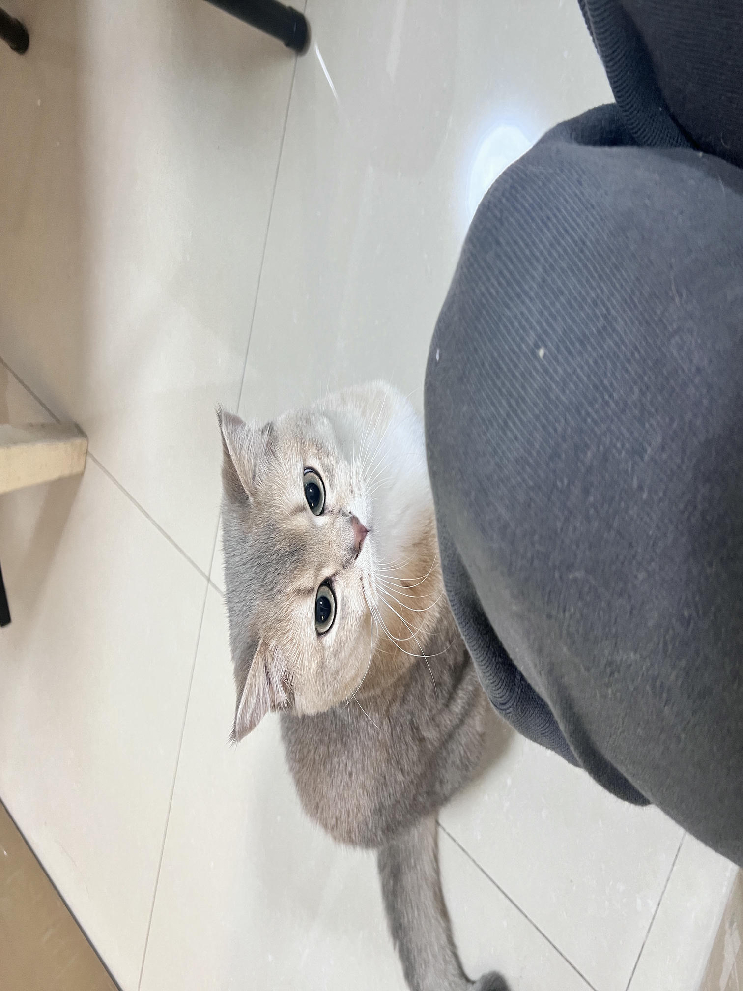 眼酱大魔王w NO.059 23年2月 fantia订阅（7期）[44P／313MB]-猫图_第1集