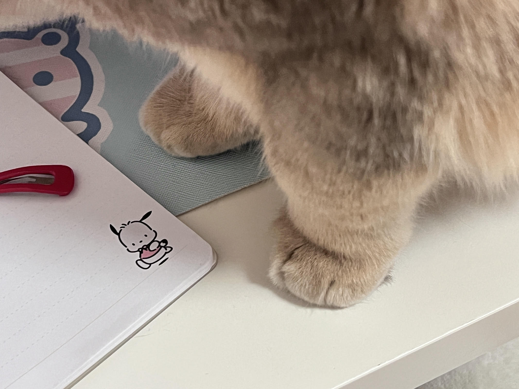 眼酱大魔王w NO.059 23年2月 fantia订阅（7期）[44P／313MB]-猫图_第1集