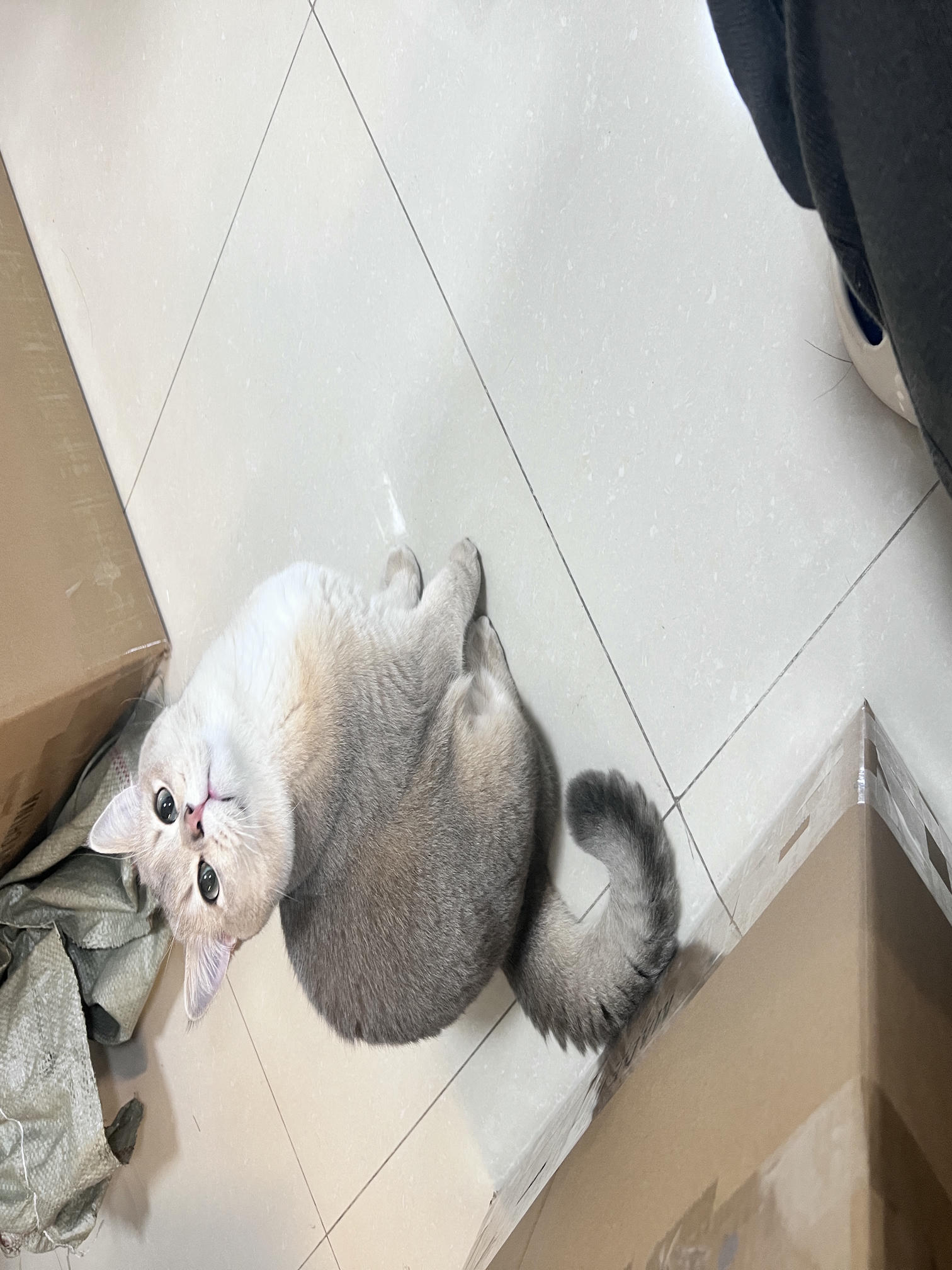 眼酱大魔王w NO.059 23年2月 fantia订阅（7期）[44P／313MB]-猫图_第1集