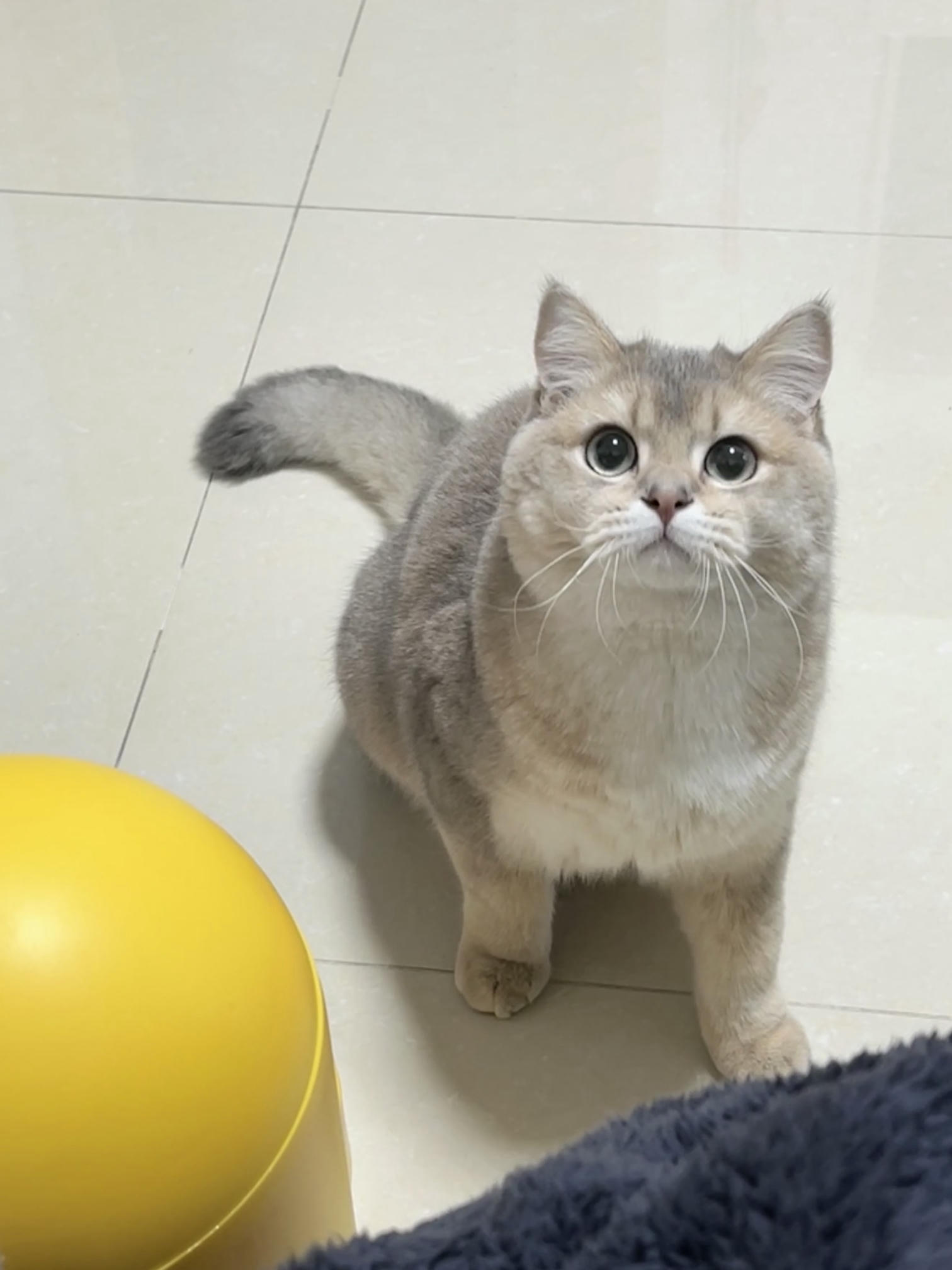 眼酱大魔王w NO.059 23年2月 fantia订阅（7期）[44P／313MB]-猫图_第1集