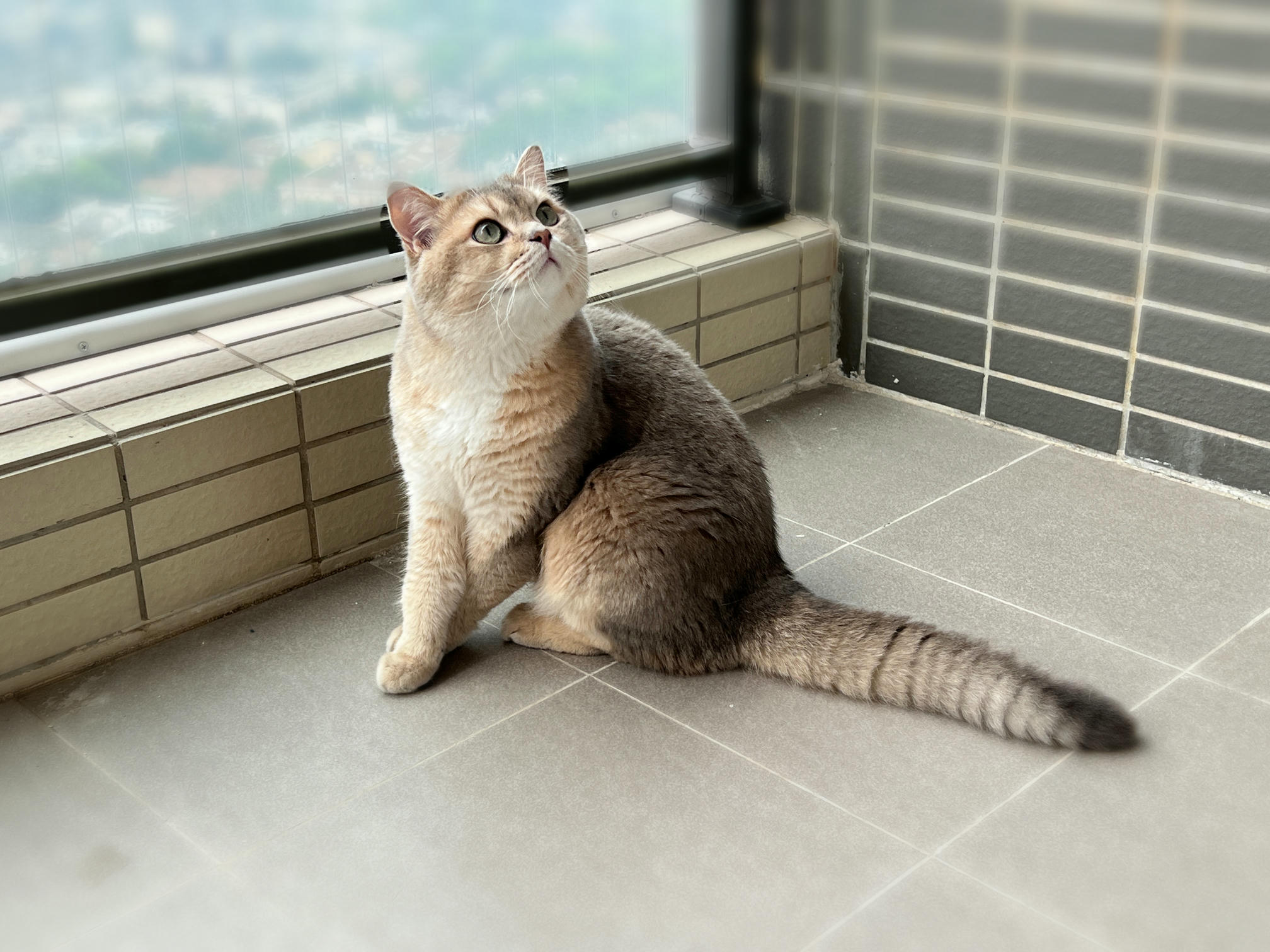 眼酱大魔王w NO.060 23年05月fantia会员合集 [54P1V-308MB]-4月ありがとうございます🙏🏻_第1集