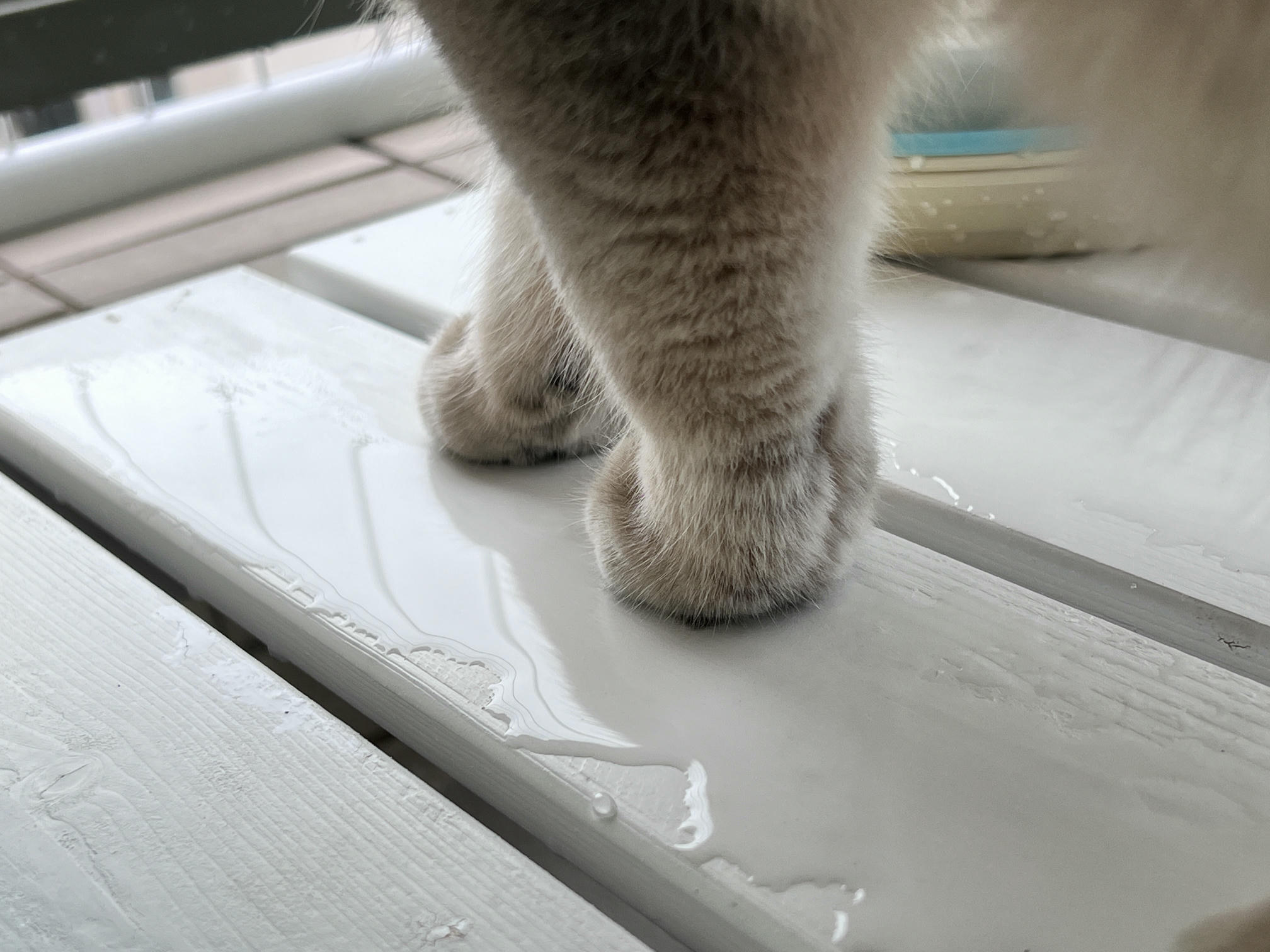 眼酱大魔王w NO.060 23年05月fantia会员合集 [54P1V-308MB]-4月ありがとうございます🙏🏻_第1集