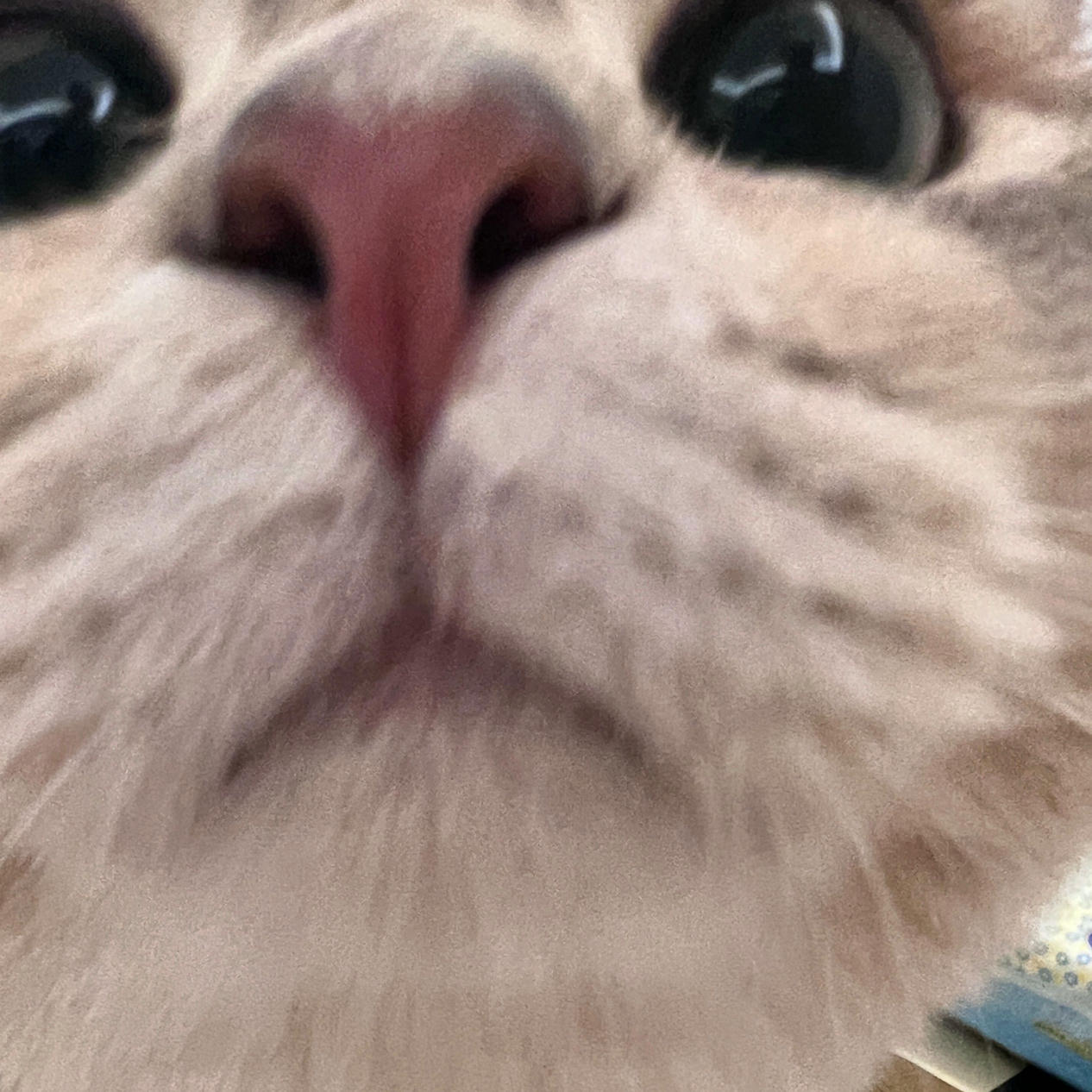 眼酱大魔王w NO.060 23年05月fantia会员合集 [54P1V-308MB]-卯月桃子🐰_第1集