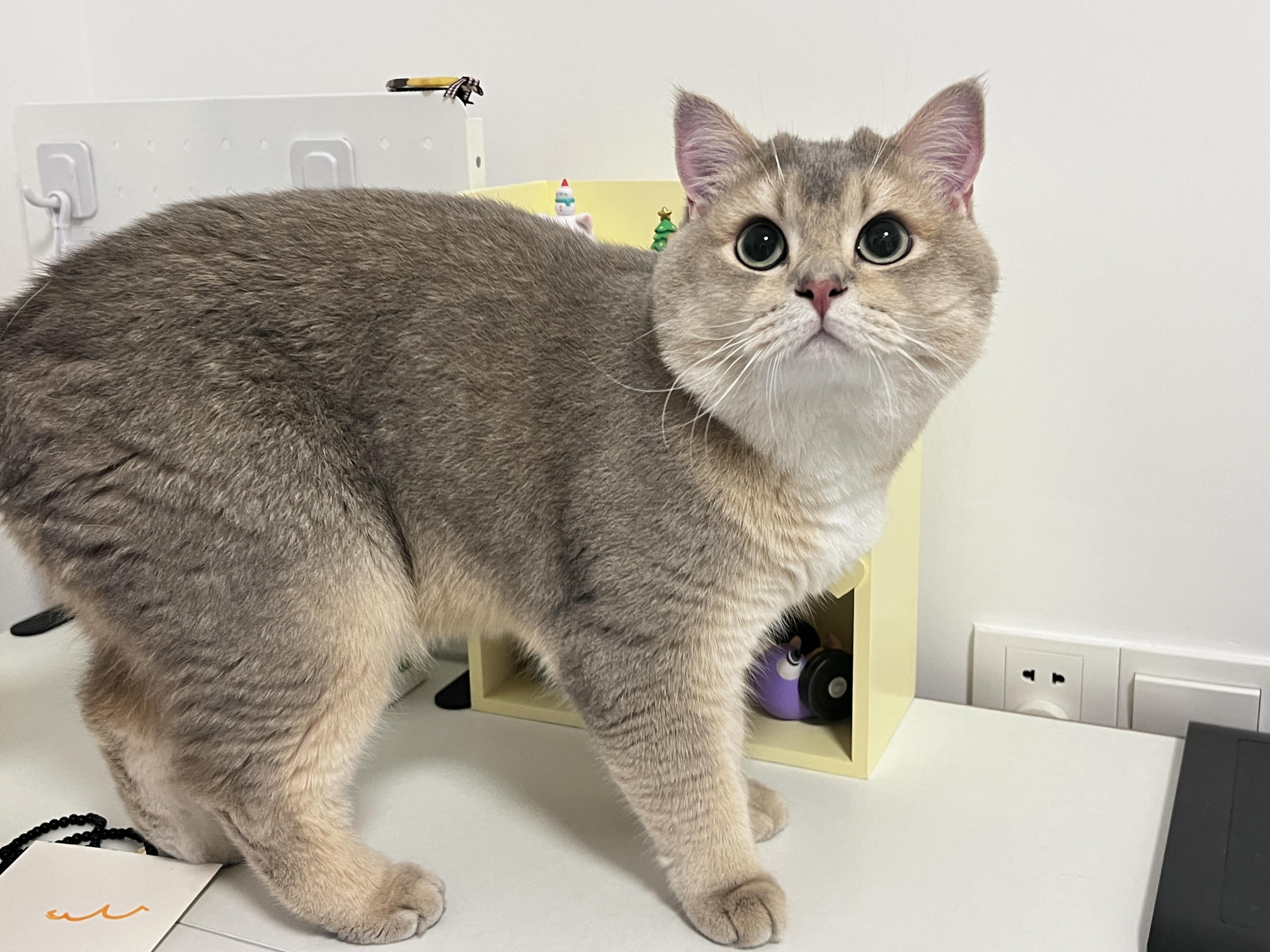 眼酱大魔王w NO.060 23年05月fantia会员合集 [54P1V-308MB]-眼鏡の彼女♡_第1集