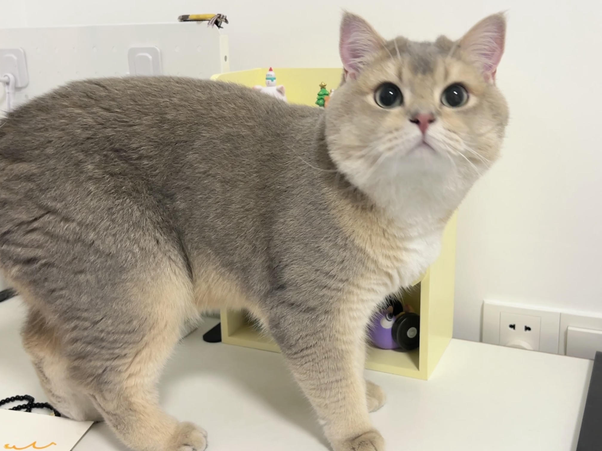 眼酱大魔王w NO.060 23年05月fantia会员合集 [54P1V-308MB]-眼鏡の彼女♡_第1集