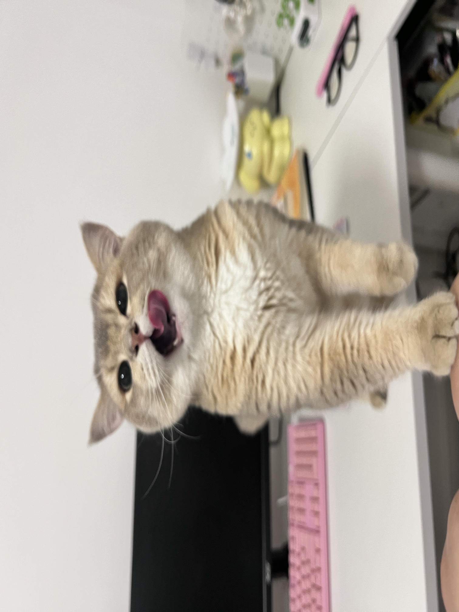 眼酱大魔王w NO.060 23年05月fantia会员合集 [54P1V-308MB]-眼鏡の彼女♡②_第1集