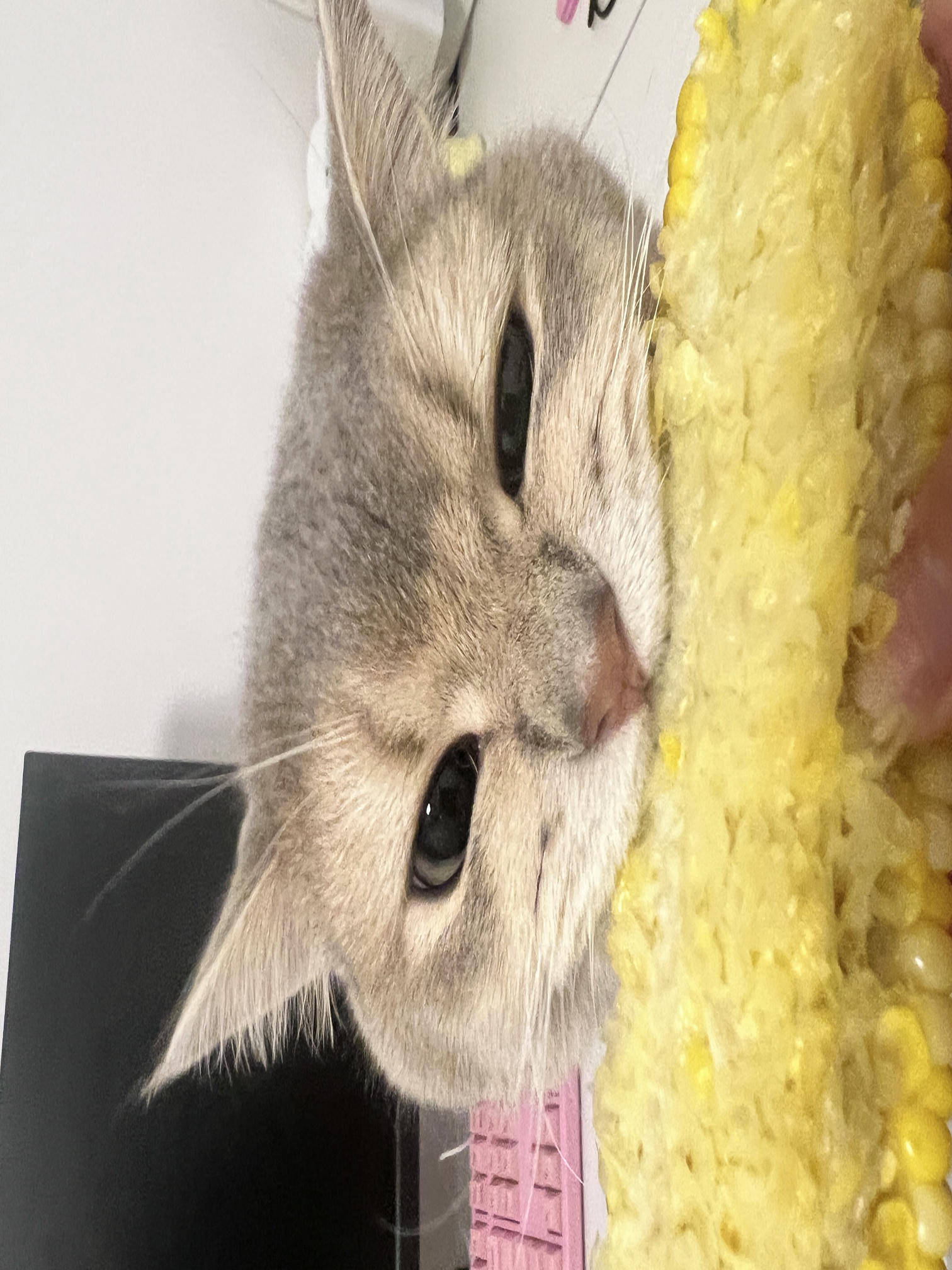 眼酱大魔王w NO.060 23年05月fantia会员合集 [54P1V-308MB]-眼鏡の彼女♡②_第1集