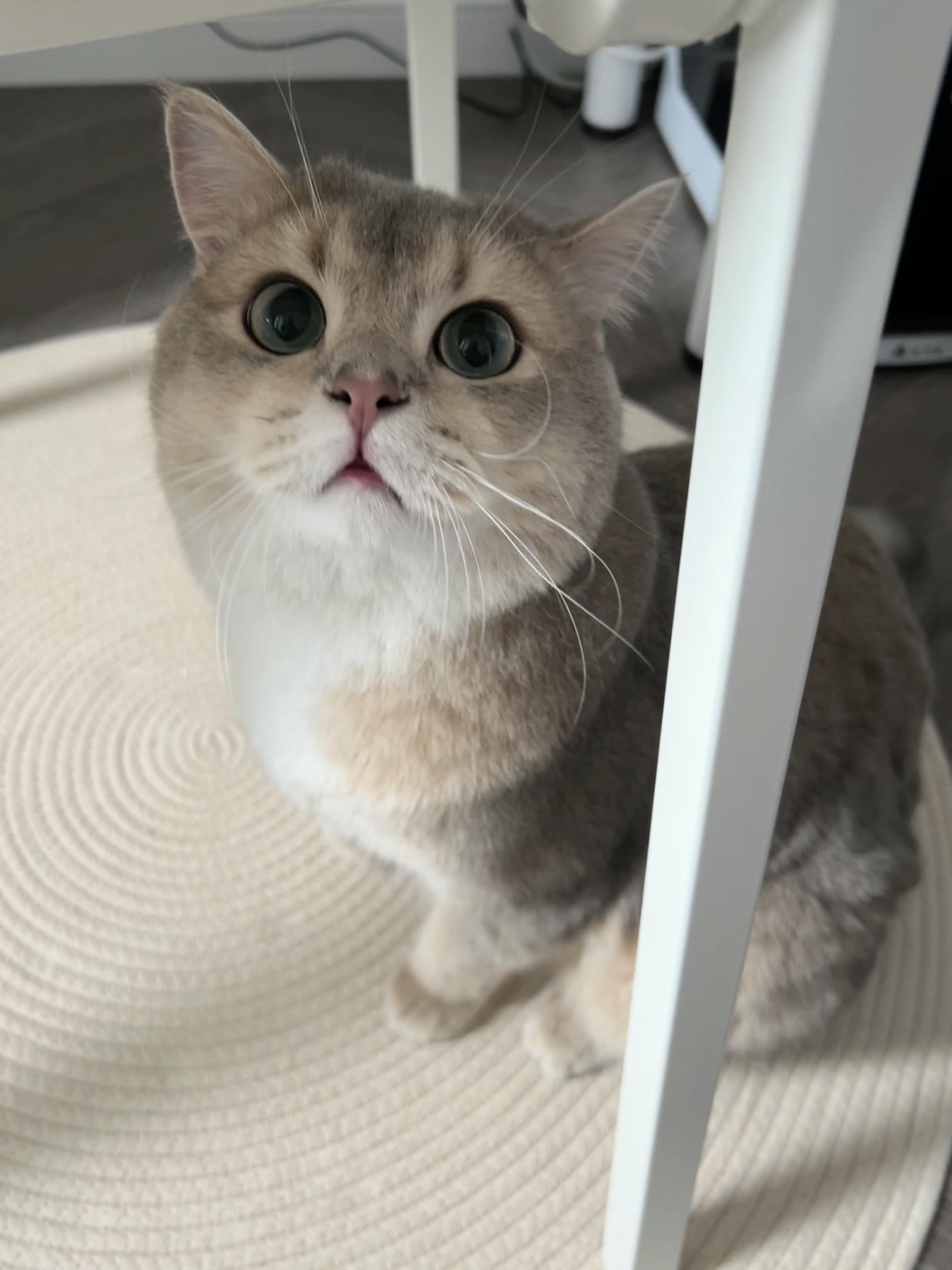 眼酱大魔王w NO.061 23年06月fantia会员合集 [42P3V-306MB]-チャイナドレスの下着♡_第1集