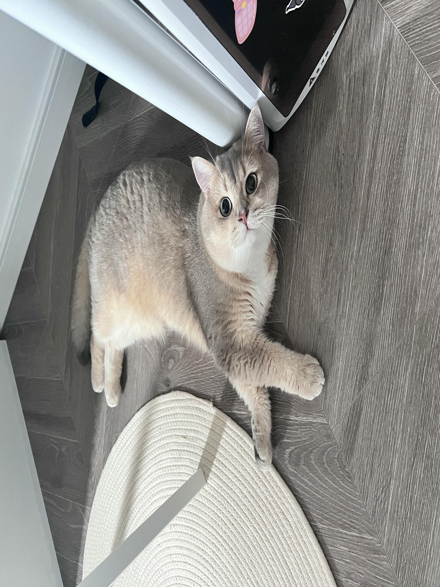 眼酱大魔王w NO.061 23年06月fantia会员合集 [42P3V-306MB]-優等生♡_第1集