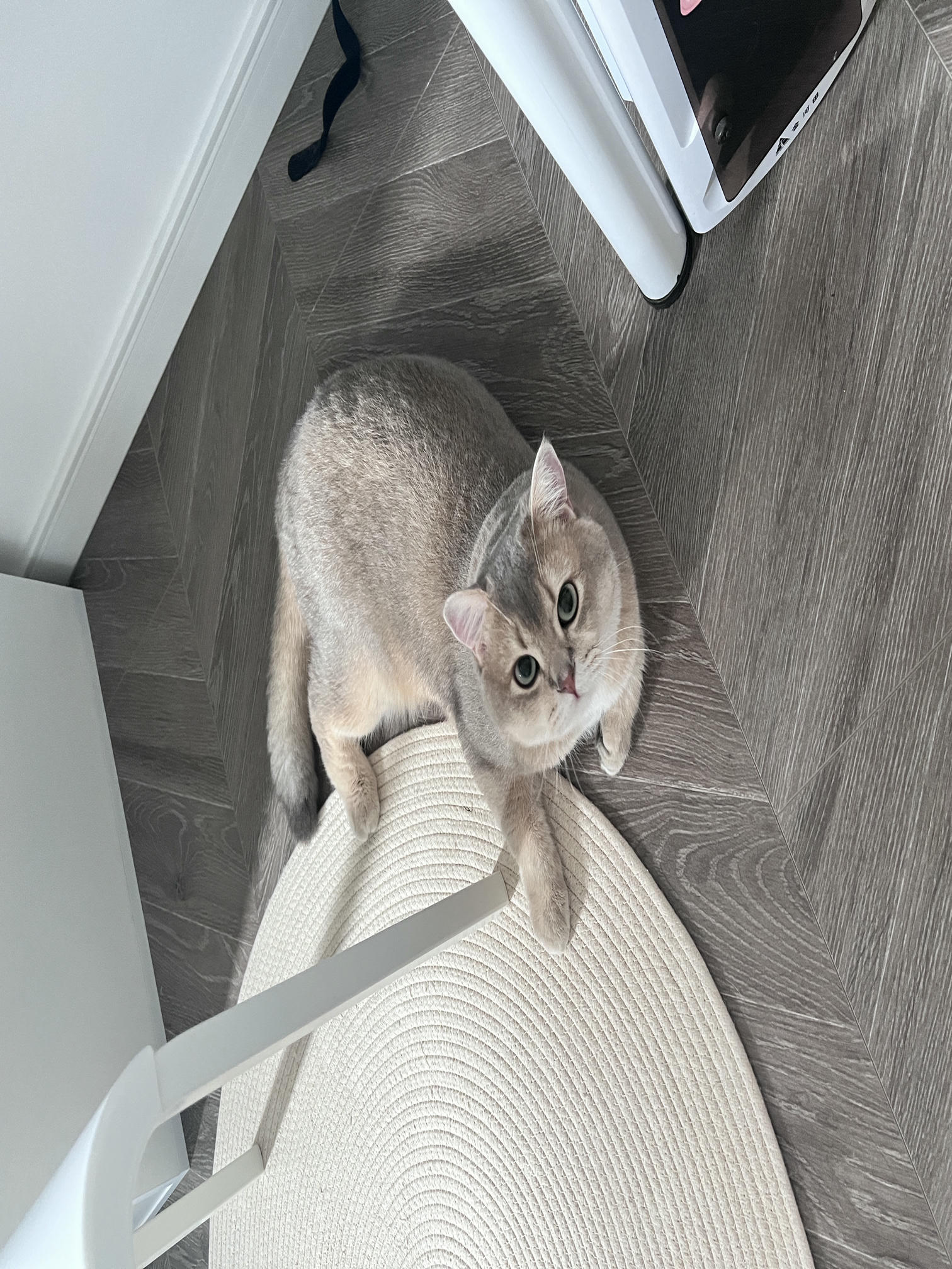 眼酱大魔王w NO.061 23年06月fantia会员合集 [42P3V-306MB]-優等生♡_第1集