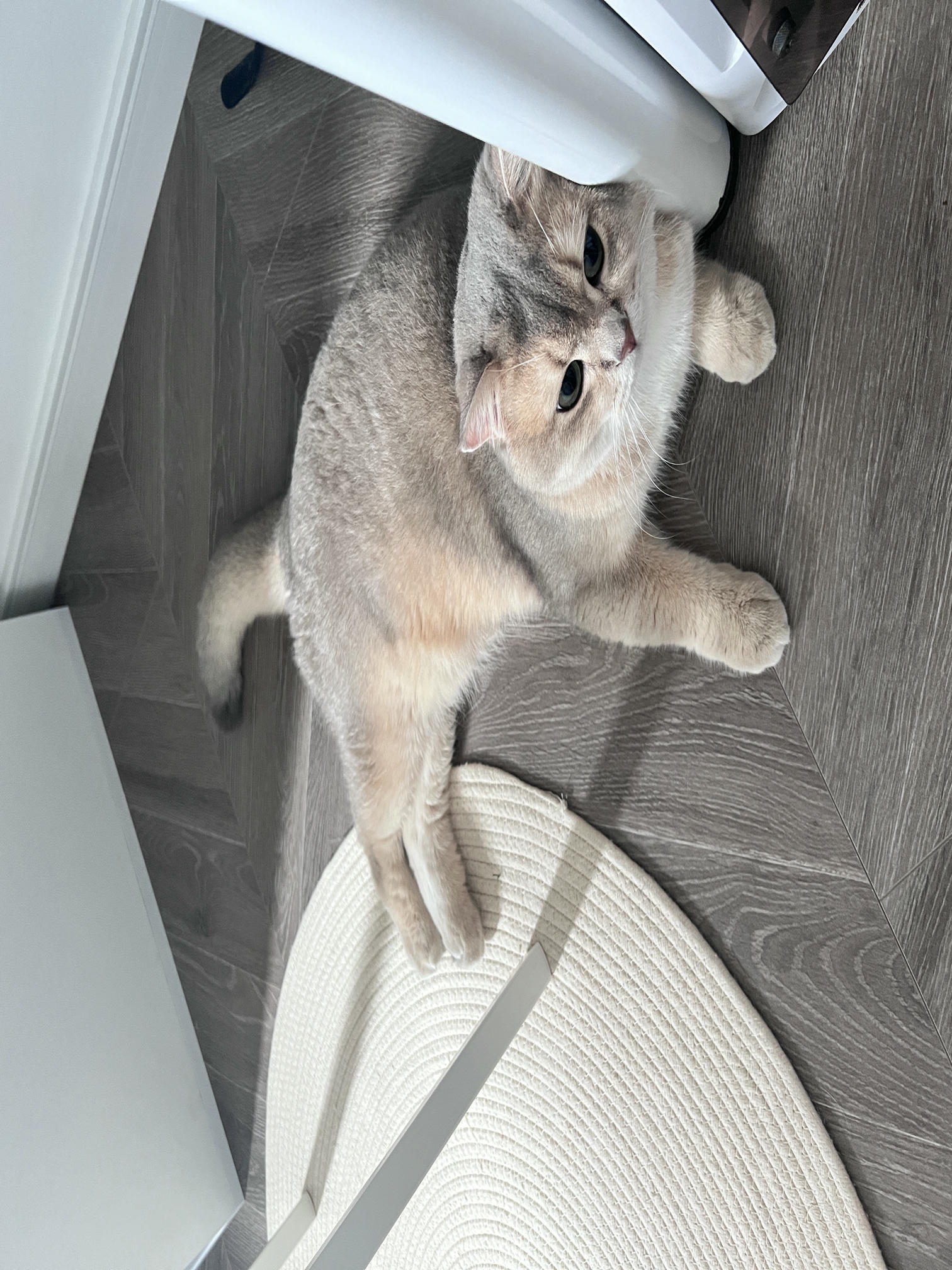 眼酱大魔王w NO.061 23年06月fantia会员合集 [42P3V-306MB]-優等生♡_第1集