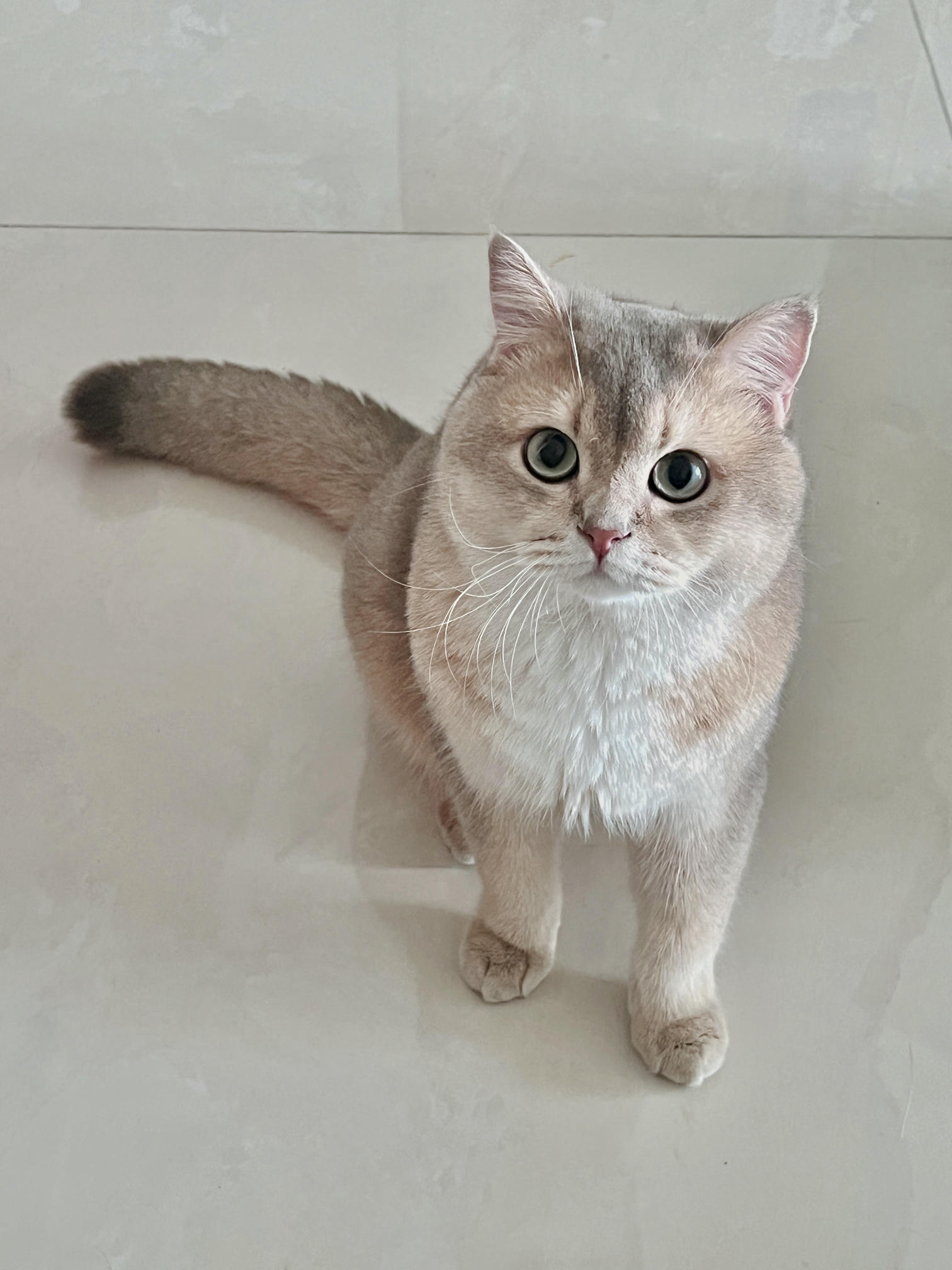 眼酱大魔王w NO.061 23年06月fantia会员合集 [42P3V-306MB]-優等生🍑_第1集