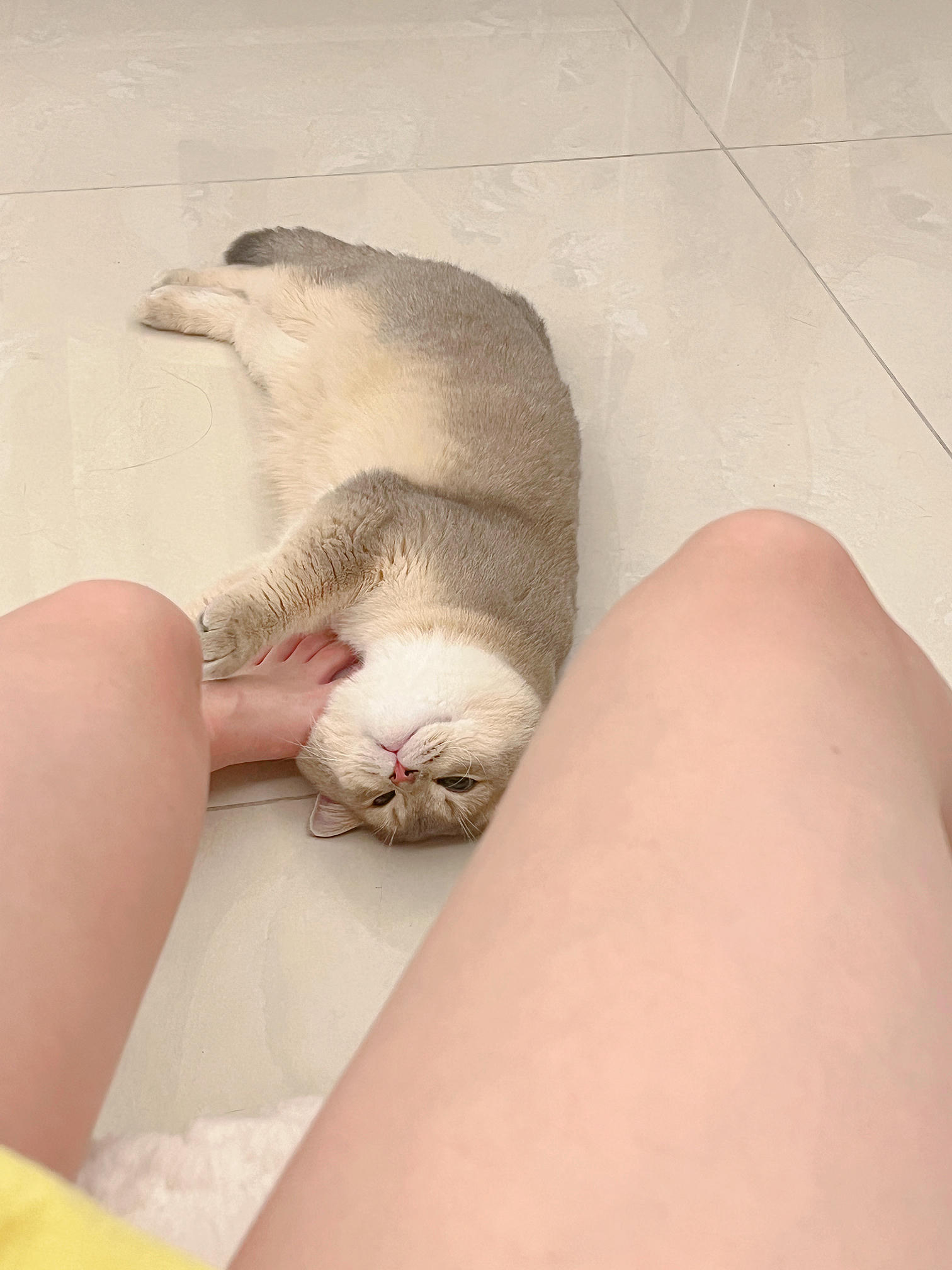 眼酱大魔王w NO.061 23年06月fantia会员合集 [42P3V-306MB]-動画_6月ありがとうございます♡_第1集