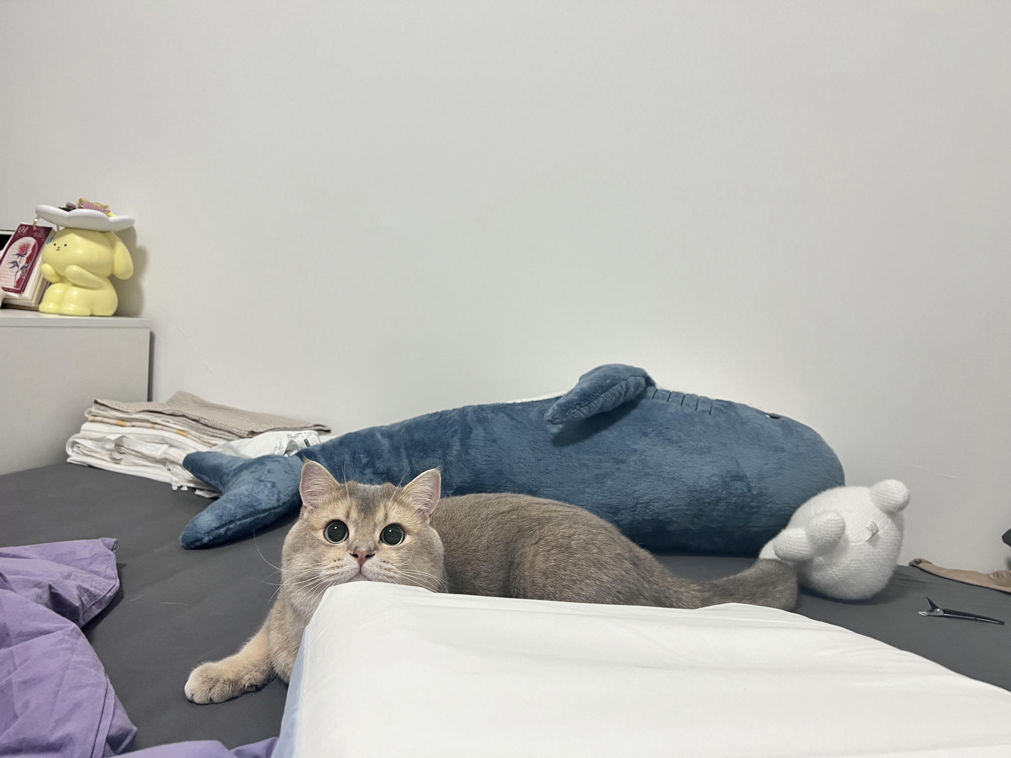 眼酱大魔王w NO.061 23年06月fantia会员合集 [42P3V-306MB]-動画_メガネバニー🐰💕_第1集