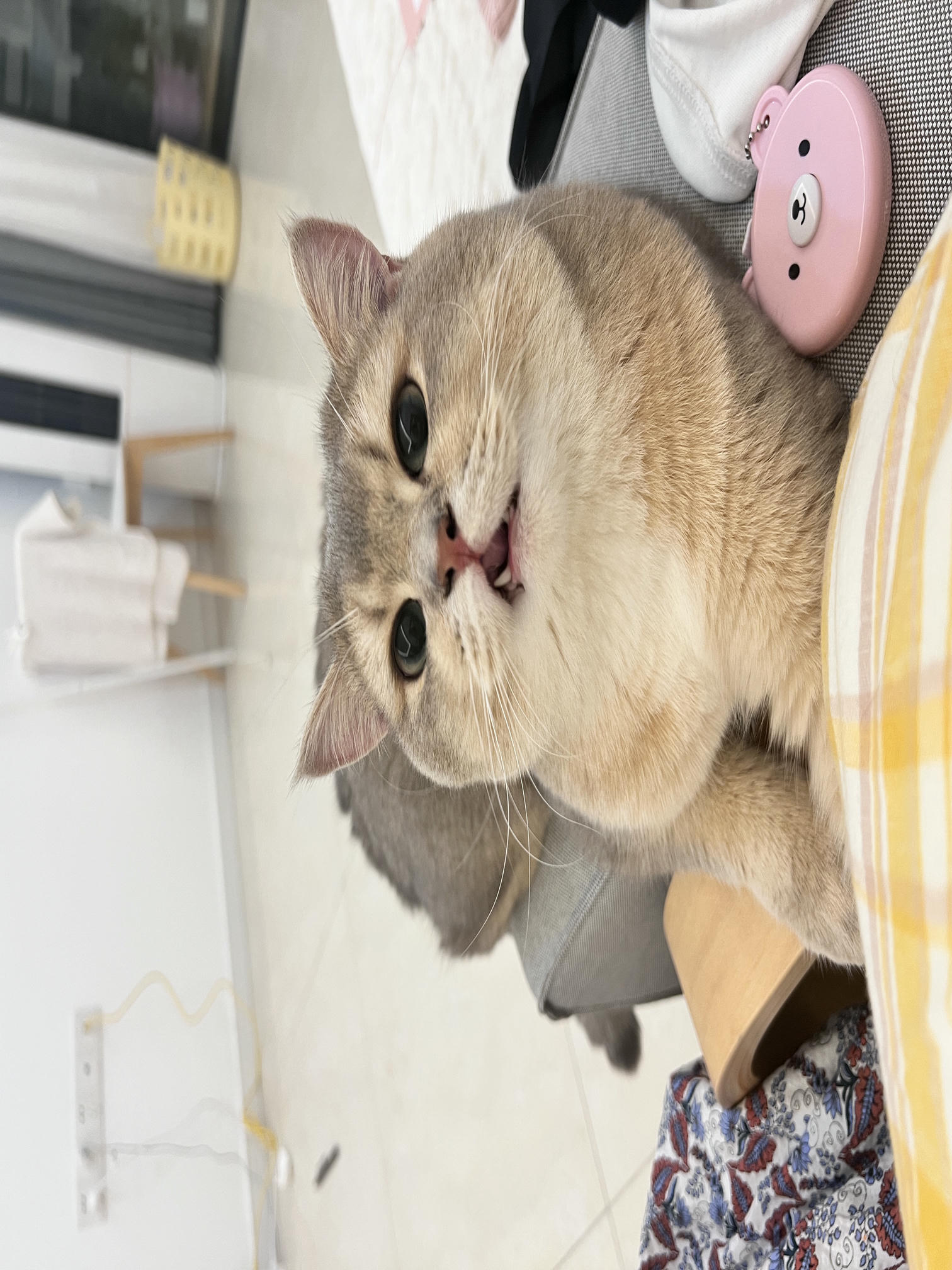 眼酱大魔王w NO.061 23年06月fantia会员合集 [42P3V-306MB]-動画_六月よろしく💋_第1集