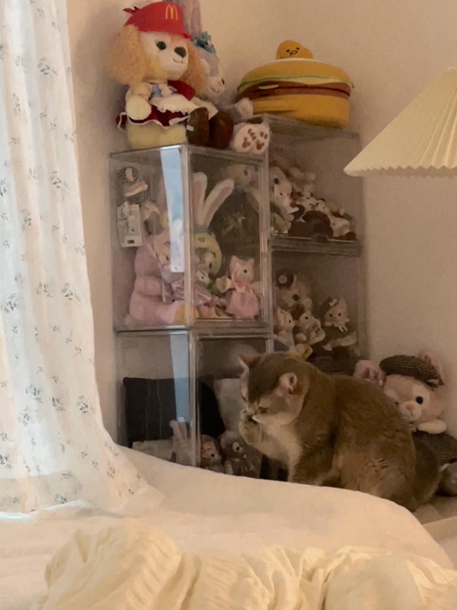 眼酱大魔王w NO.062 23年07月fantia会员合集 [44P2V-363MB]-7月ありがとう🥰💕_第1集