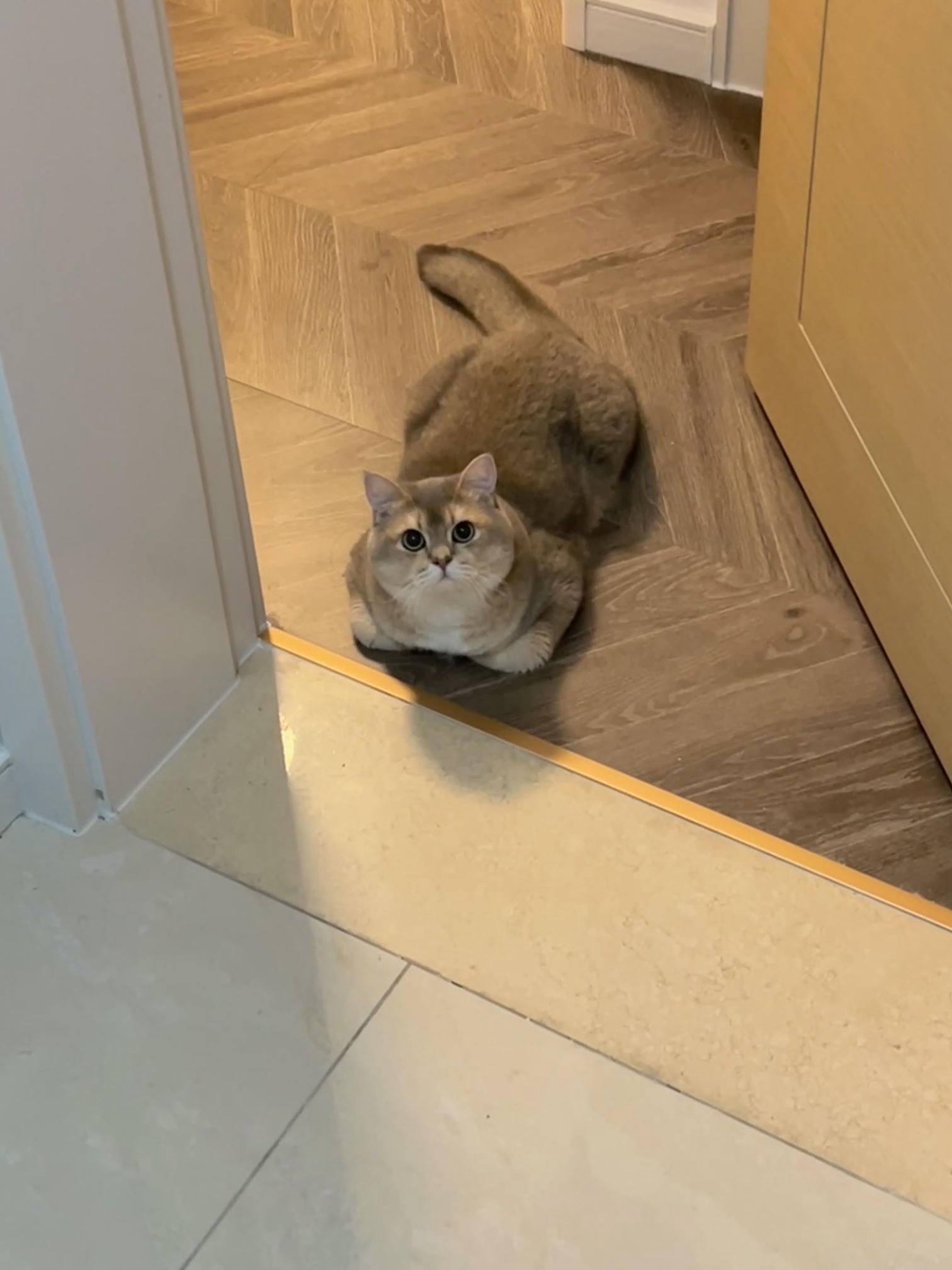 眼酱大魔王w NO.062 23年07月fantia会员合集 [44P2V-363MB]-7月ありがとう🥰💕_第1集