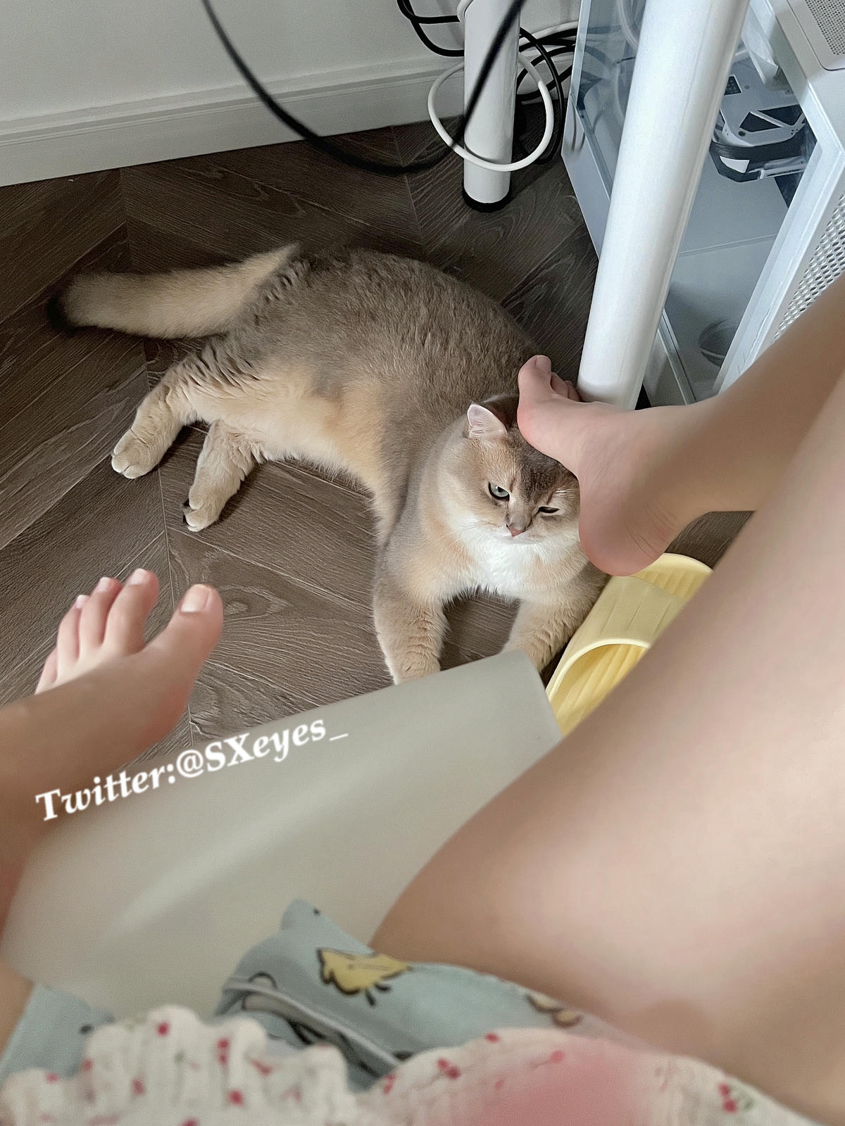 眼酱大魔王w NO.062 23年07月fantia会员合集 [44P2V-363MB]-7月よろしく🍑_第1集