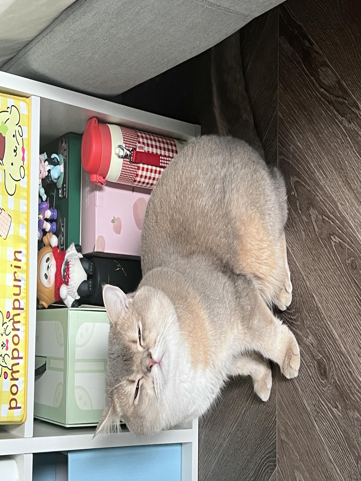 眼酱大魔王w NO.062 23年07月fantia会员合集 [44P2V-363MB]-7月よろしく🍑_第1集