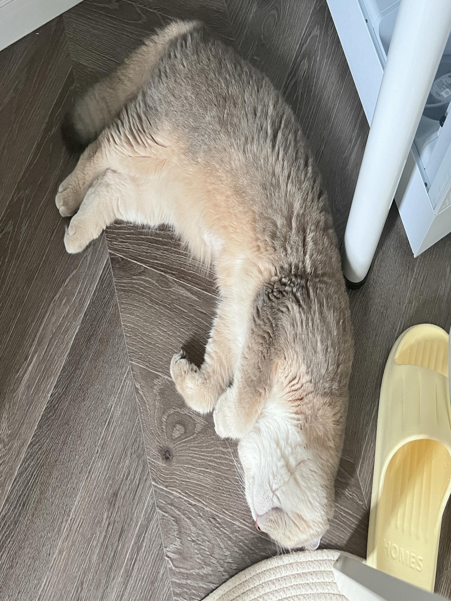 眼酱大魔王w NO.062 23年07月fantia会员合集 [44P2V-363MB]-7月よろしく🍑_第1集