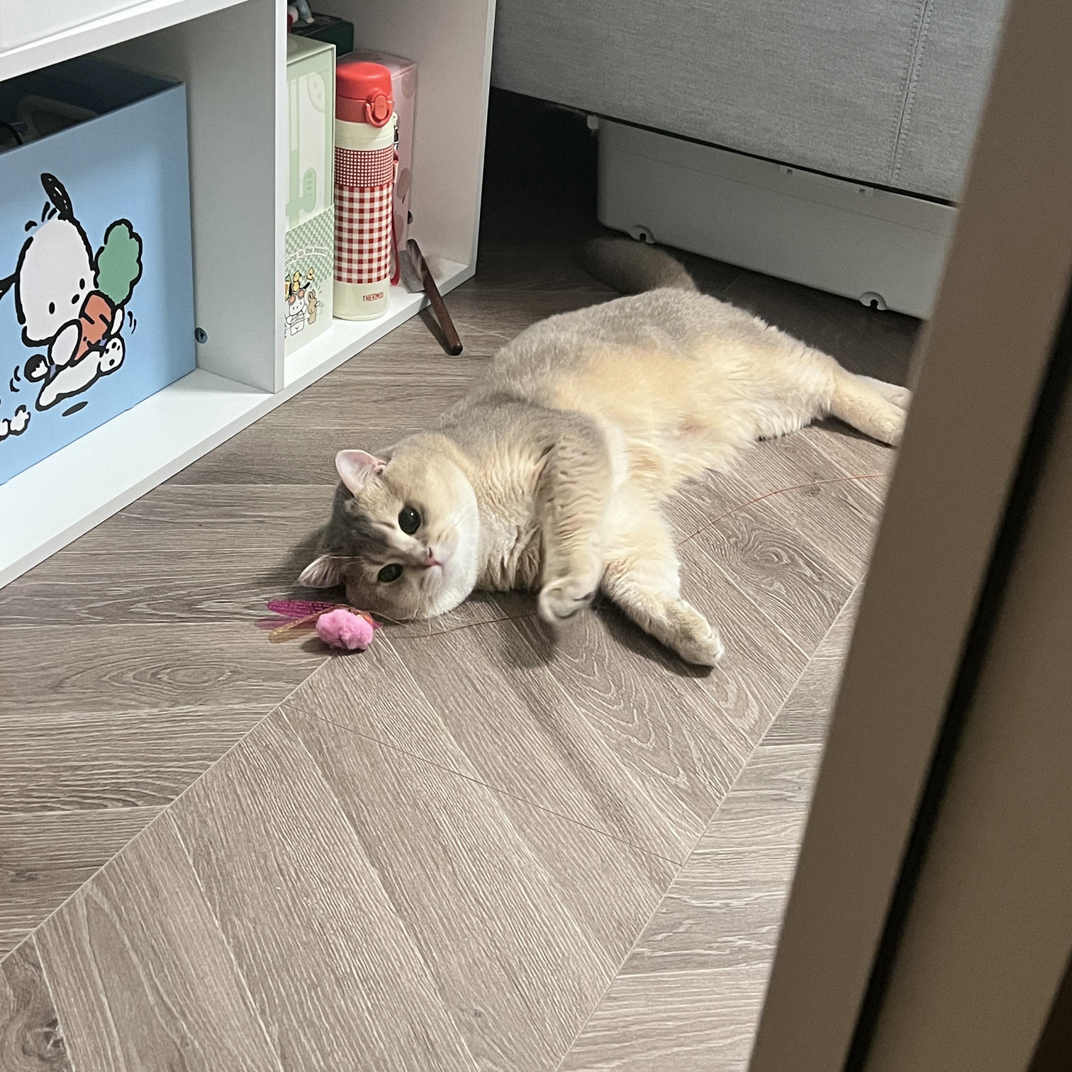 眼酱大魔王w NO.062 23年07月fantia会员合集 [44P2V-363MB]-動画_スーツにブラウン♡_第1集