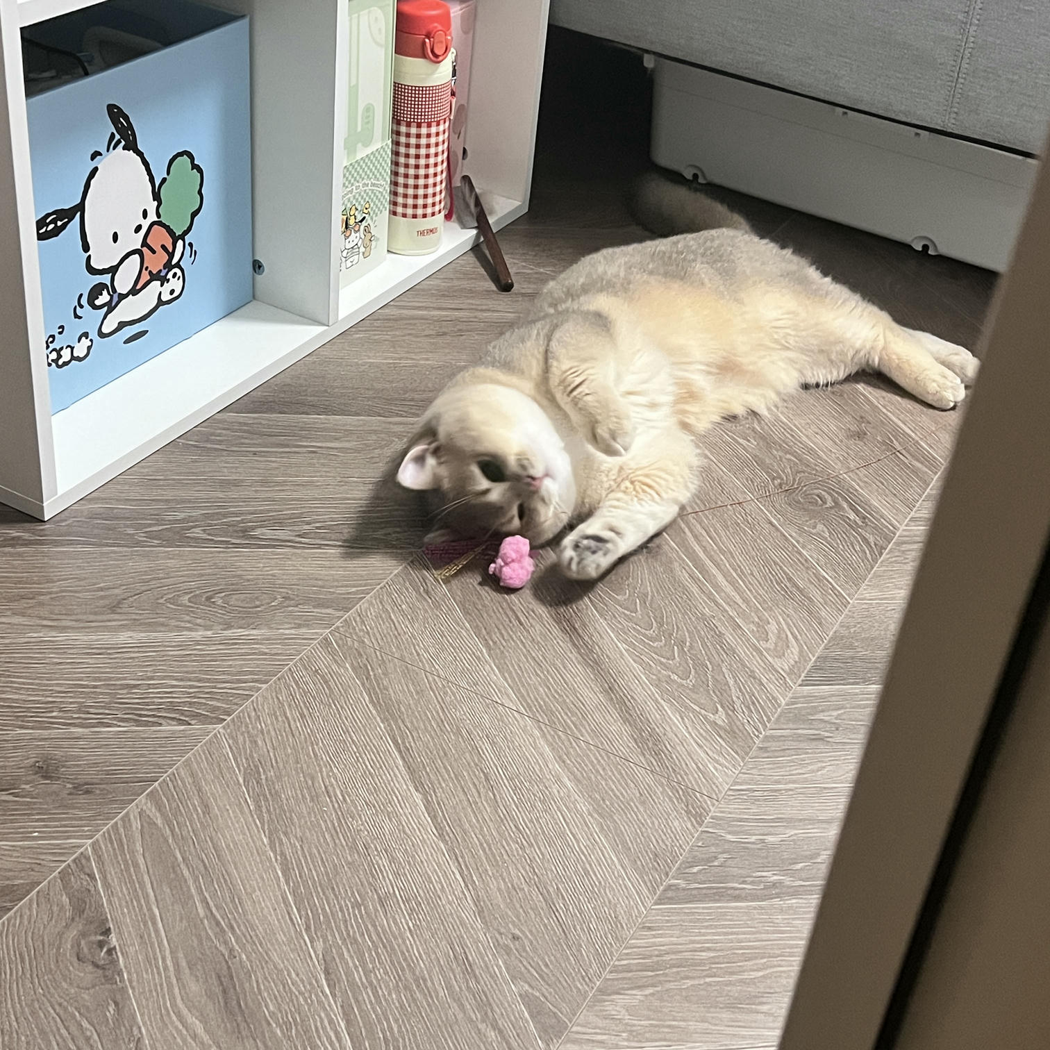 眼酱大魔王w NO.062 23年07月fantia会员合集 [44P2V-363MB]-動画_スーツにブラウン♡_第1集