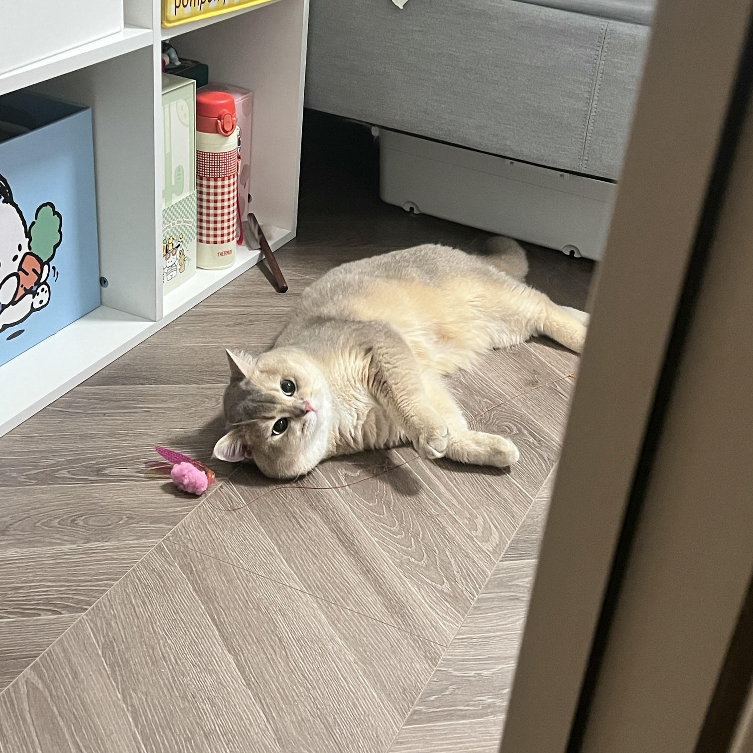 眼酱大魔王w NO.062 23年07月fantia会员合集 [44P2V-363MB]-動画_スーツにブラウン♡_第1集