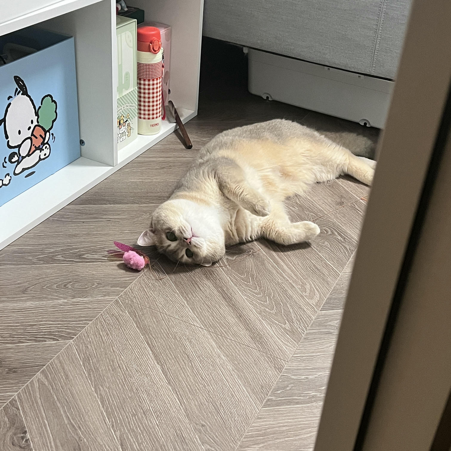 眼酱大魔王w NO.062 23年07月fantia会员合集 [44P2V-363MB]-動画_スーツにブラウン♡_第1集