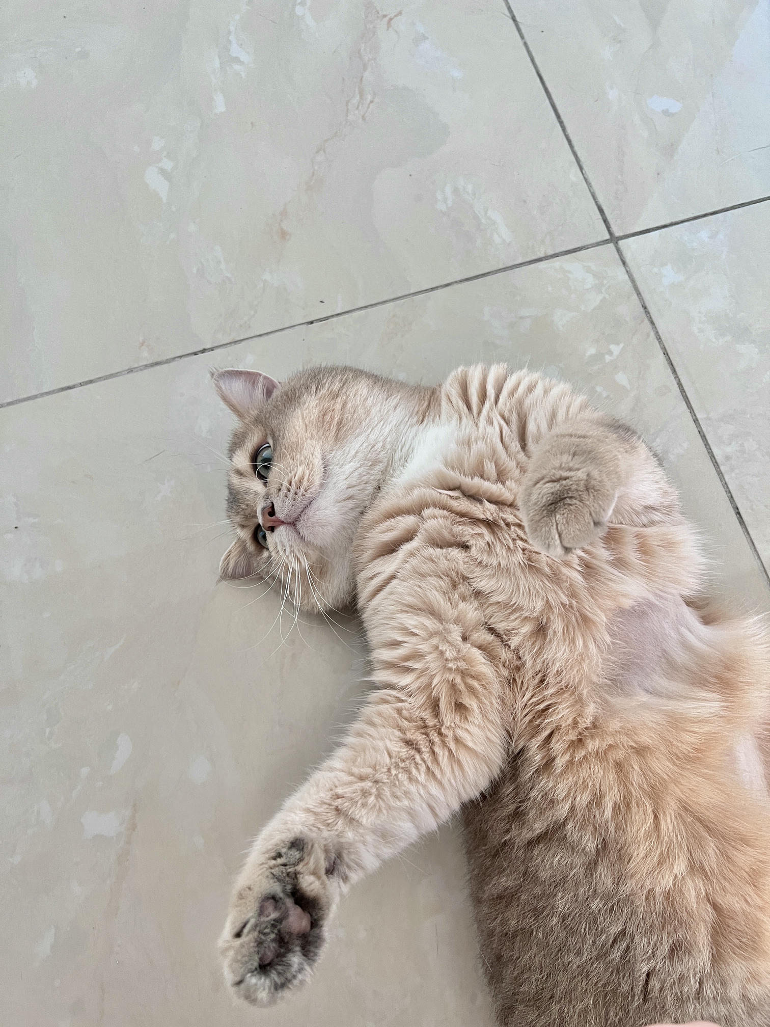 眼酱大魔王w NO.062 23年07月fantia会员合集 [44P2V-363MB]-🤠💕_第1集