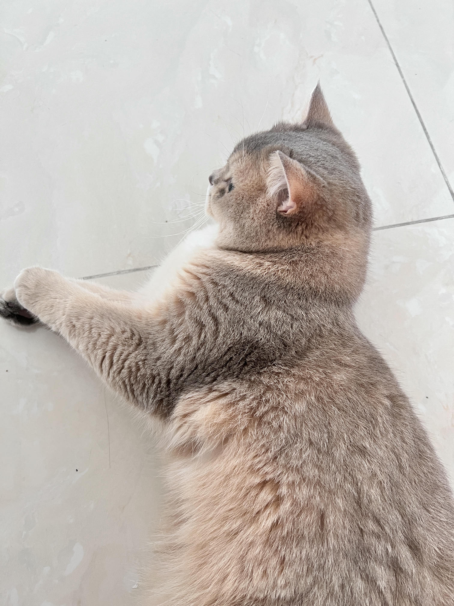 眼酱大魔王w NO.062 23年07月fantia会员合集 [44P2V-363MB]-🤠💕_第1集