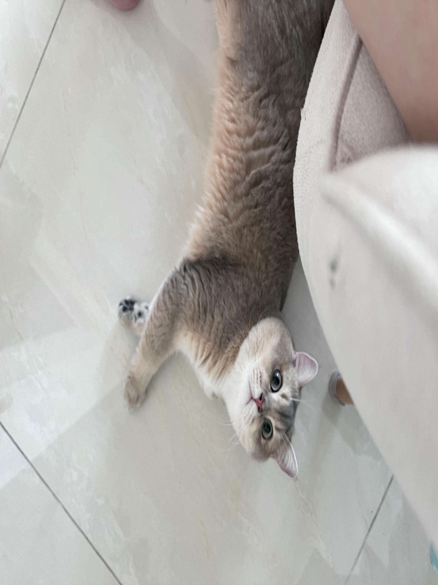 眼酱大魔王w NO.062 23年07月fantia会员合集 [44P2V-363MB]-🤠💕_第1集