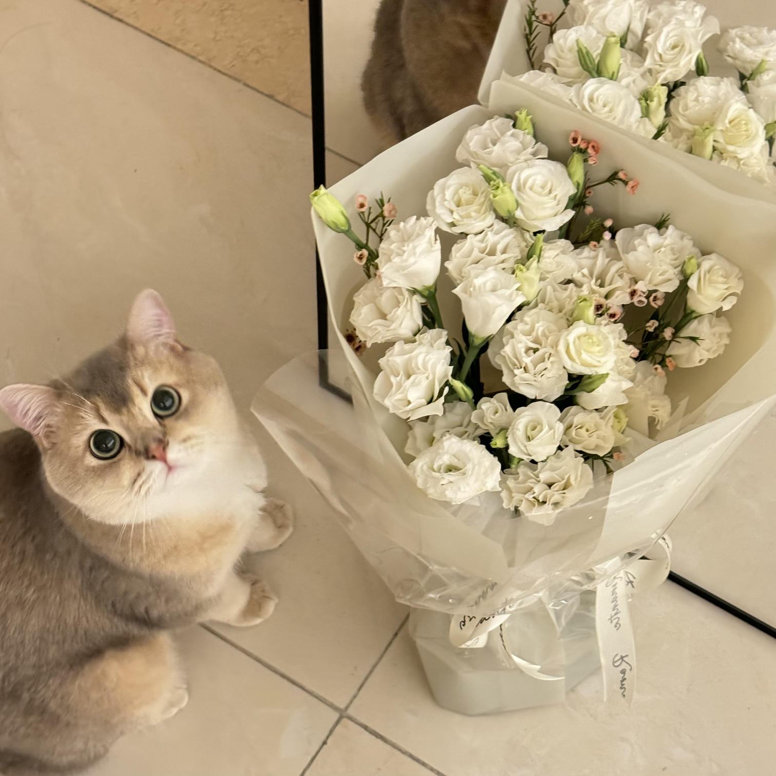 眼酱大魔王w NO.066 24年04月Fantia会员订阅 [50P2V-162MB]-2677256-🦁💕_第1集