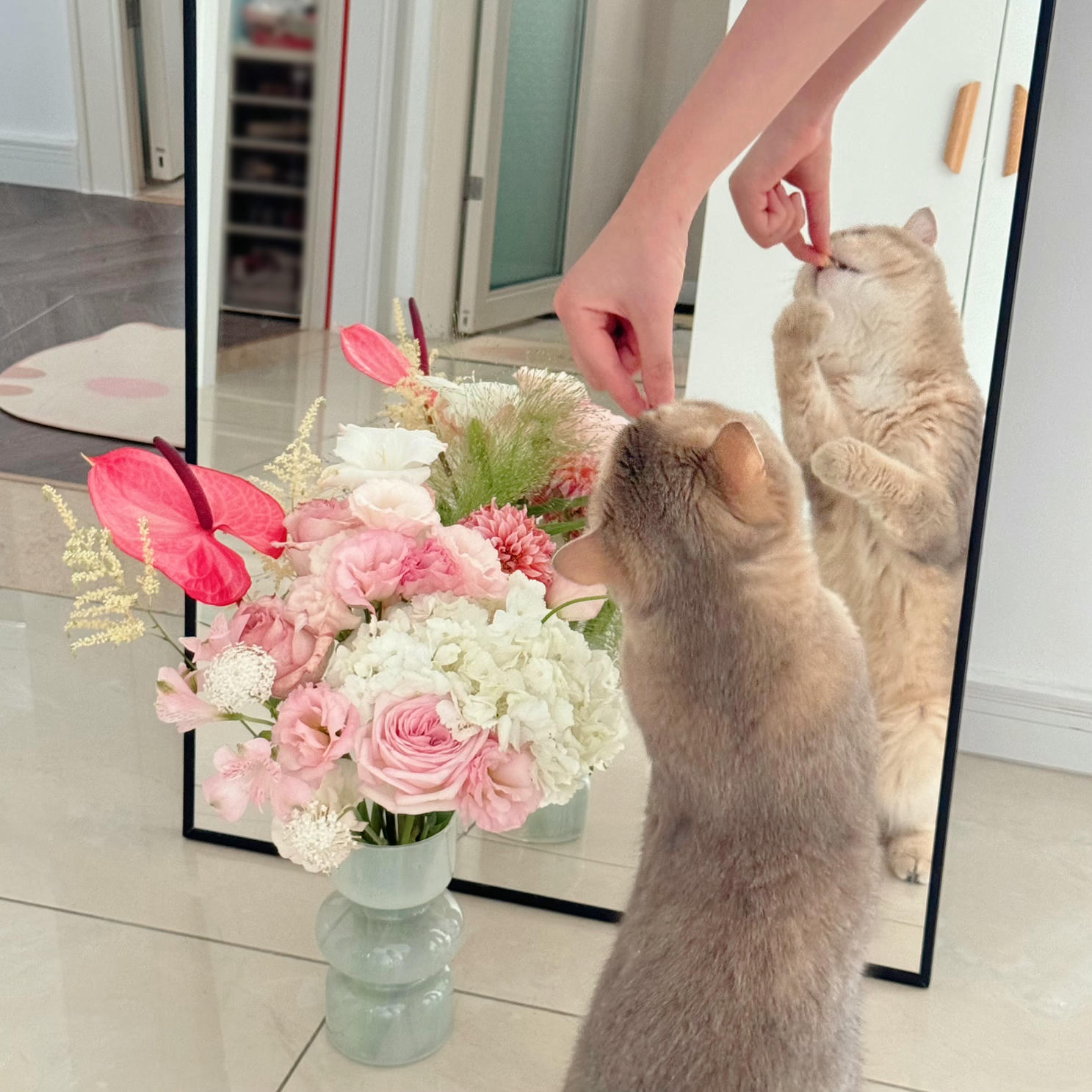 眼酱大魔王w NO.067 24年5月合集(6期）[32P+1V／190MB]-2024_05_31_5月ありがとうございました🙏🏻💕-🦁💕_第1集