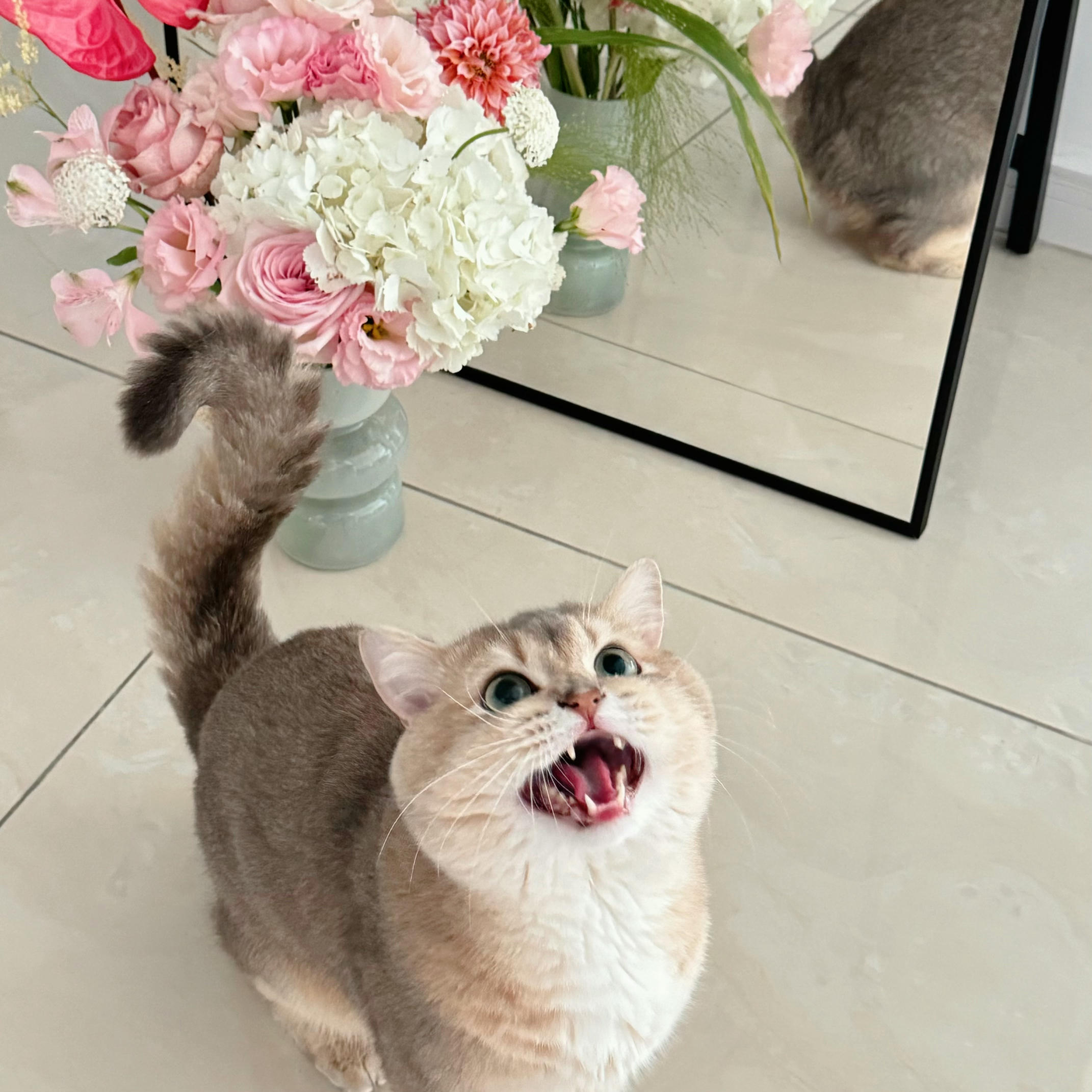 眼酱大魔王w NO.067 24年5月合集(6期）[32P+1V／190MB]-2024_05_31_5月ありがとうございました🙏🏻💕-🦁💕_第1集