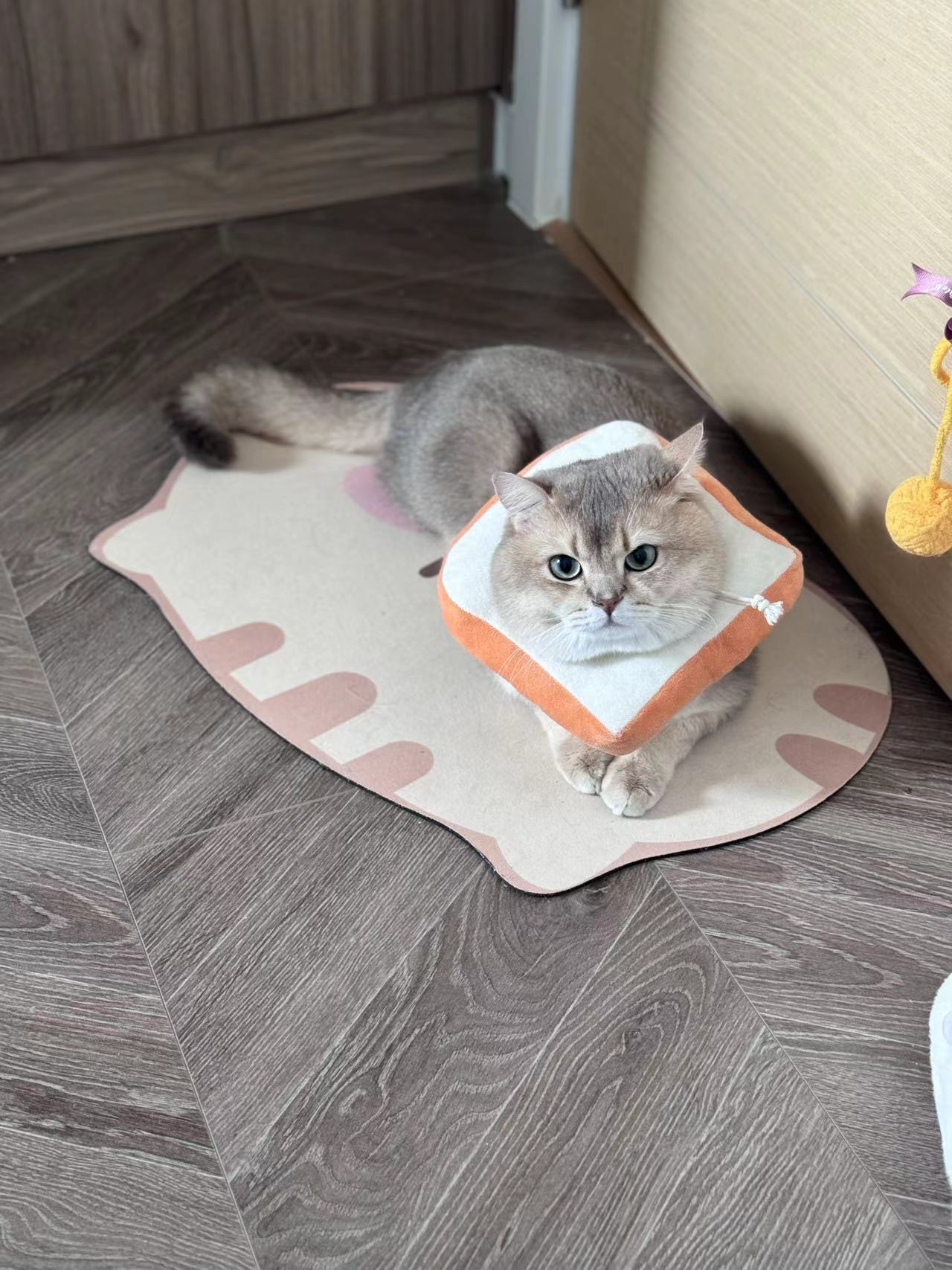 眼酱大魔王w NO.068 24年07月 Fantia 订阅 [41P4V-187MB]-2867119-🦁💕_第1集