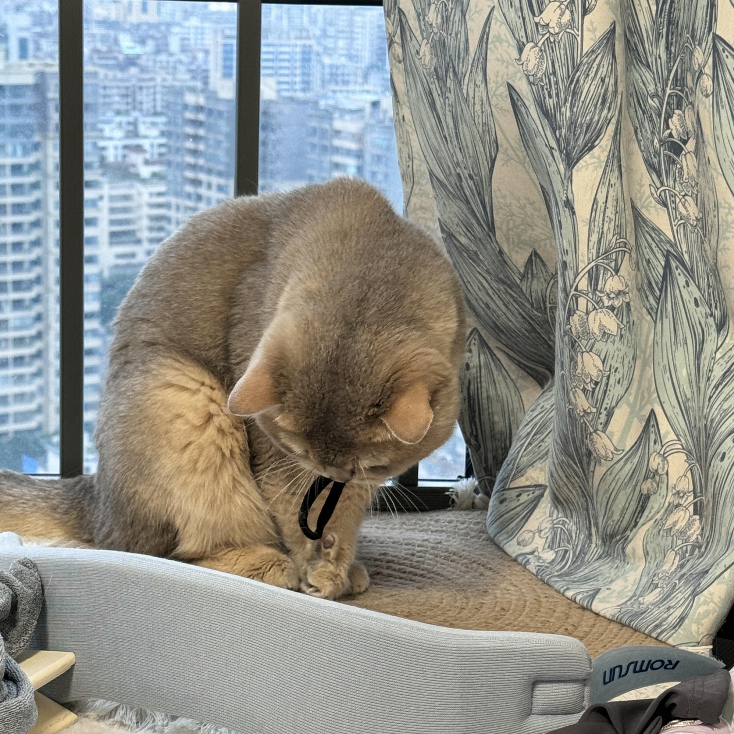 眼酱大魔王w NO.069 Fantia 24年6月合集(6期）[38P+6V／202MB]-2024_06_06_彼氏のシャツ👔-🦁💕_第1集