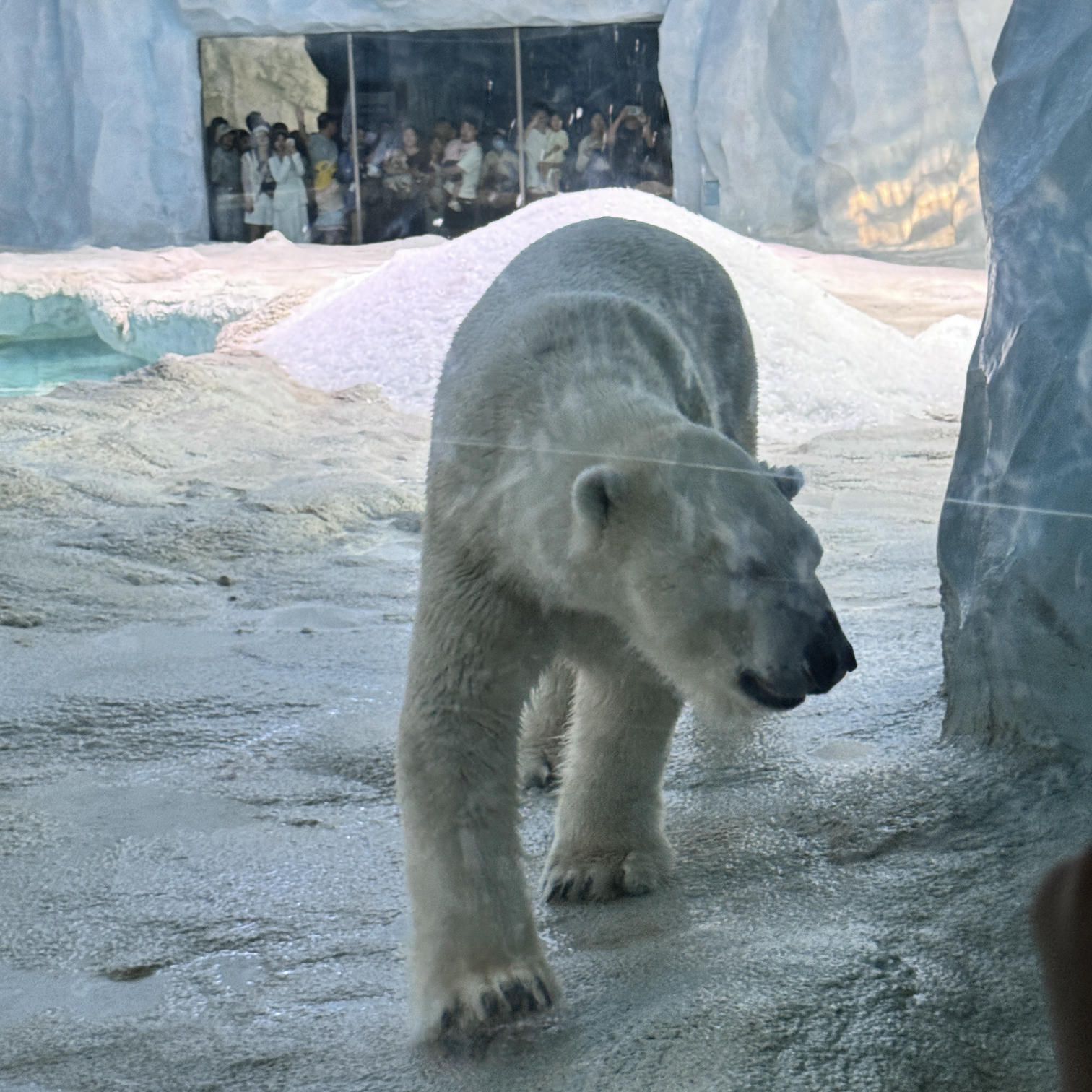 眼酱大魔王w NO.072 Fantia 2024年10月订阅 (6套)[43P-3V-131.9M]-2024.10.06 10月よろしく~♪ [15P]_第1集