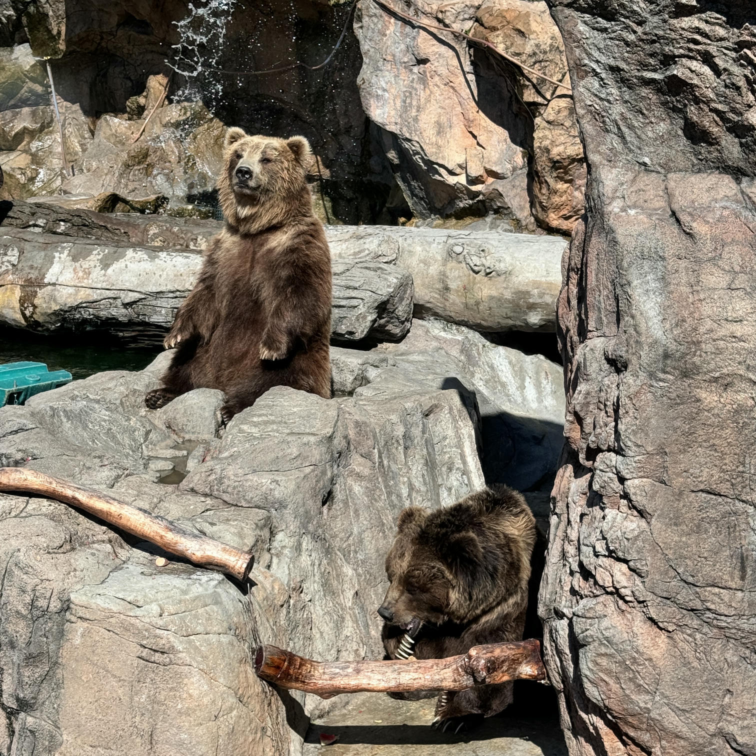 眼酱大魔王w NO.072 Fantia 2024年10月订阅 (6套)[43P-3V-131.9M]-2024.10.06 10月よろしく~♪ [15P]_第1集