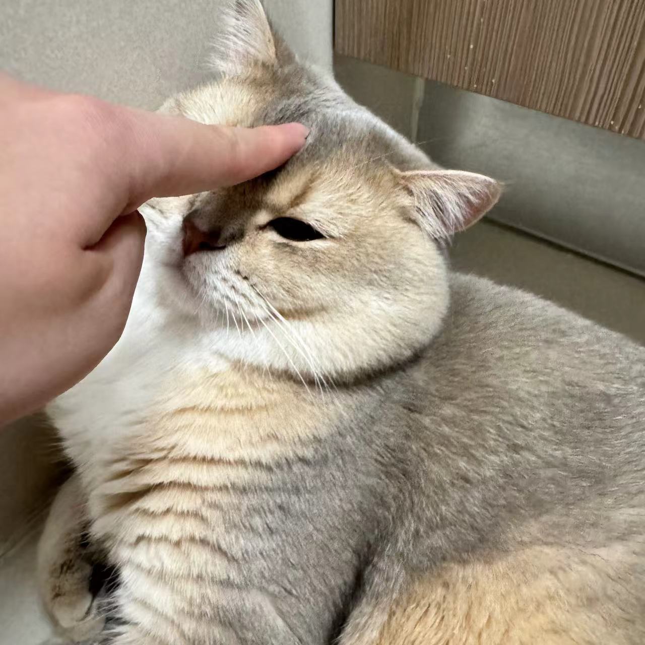 眼酱大魔王w NO.072 Fantia 2024年10月订阅 (6套)[43P-3V-131.9M]-2024.10.11 仕事終わりの投稿💕 [7P]_第1集