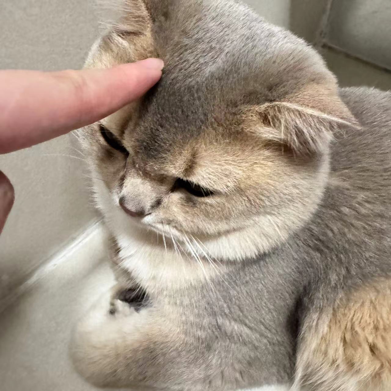 眼酱大魔王w NO.072 Fantia 2024年10月订阅 (6套)[43P-3V-131.9M]-2024.10.11 仕事終わりの投稿💕 [7P]_第1集