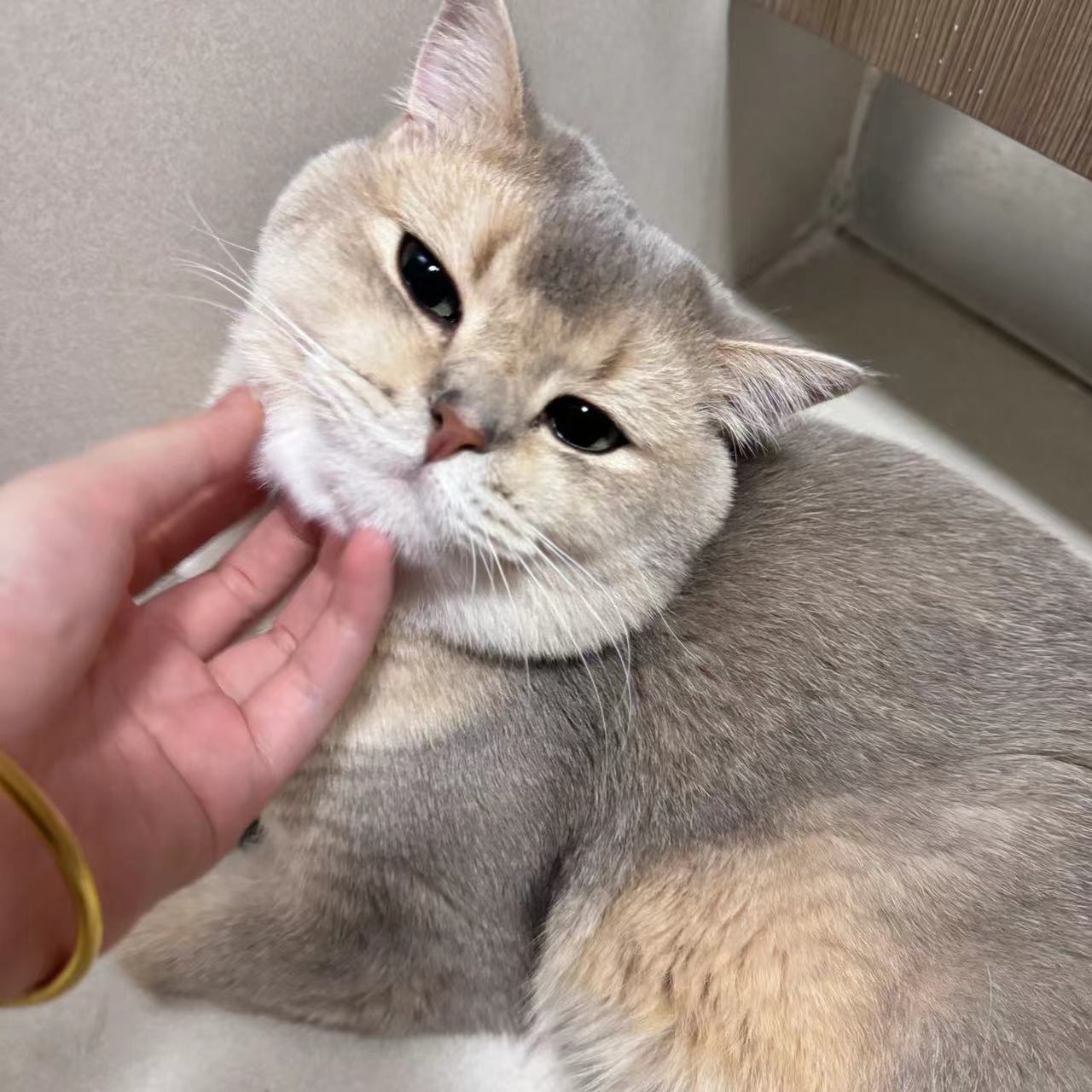 眼酱大魔王w NO.072 Fantia 2024年10月订阅 (6套)[43P-3V-131.9M]-2024.10.11 仕事終わりの投稿💕 [7P]_第1集