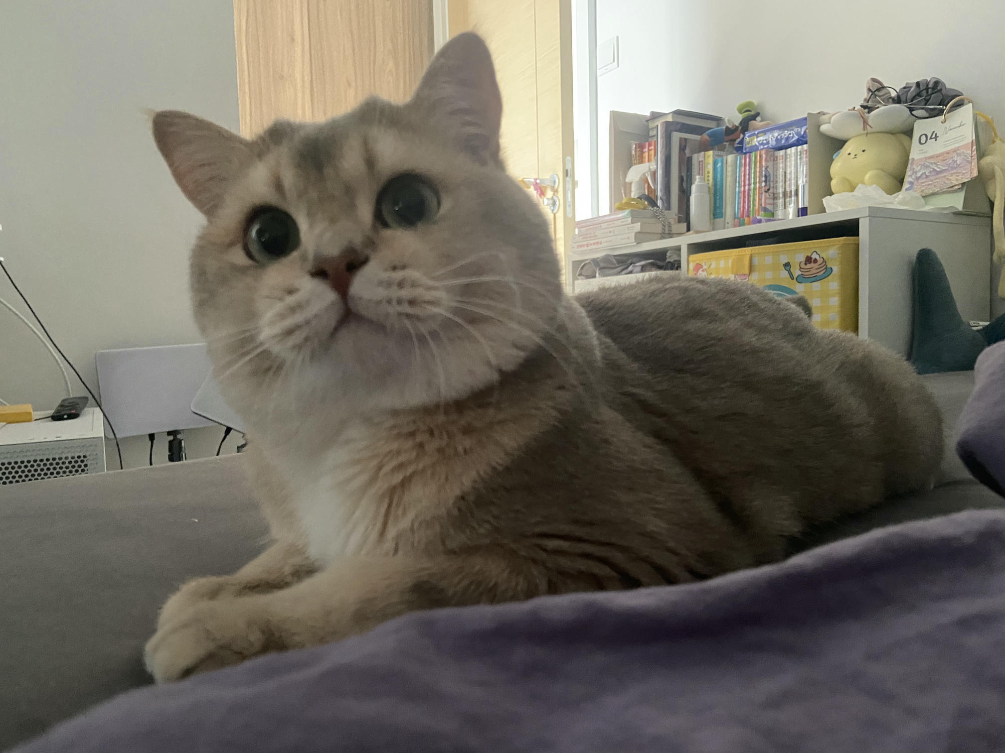 眼酱大魔王w NO.073 Fantia 2024年11月订阅 (6套)[33P 3V 135.7M]-3097294 [7P]_第1集