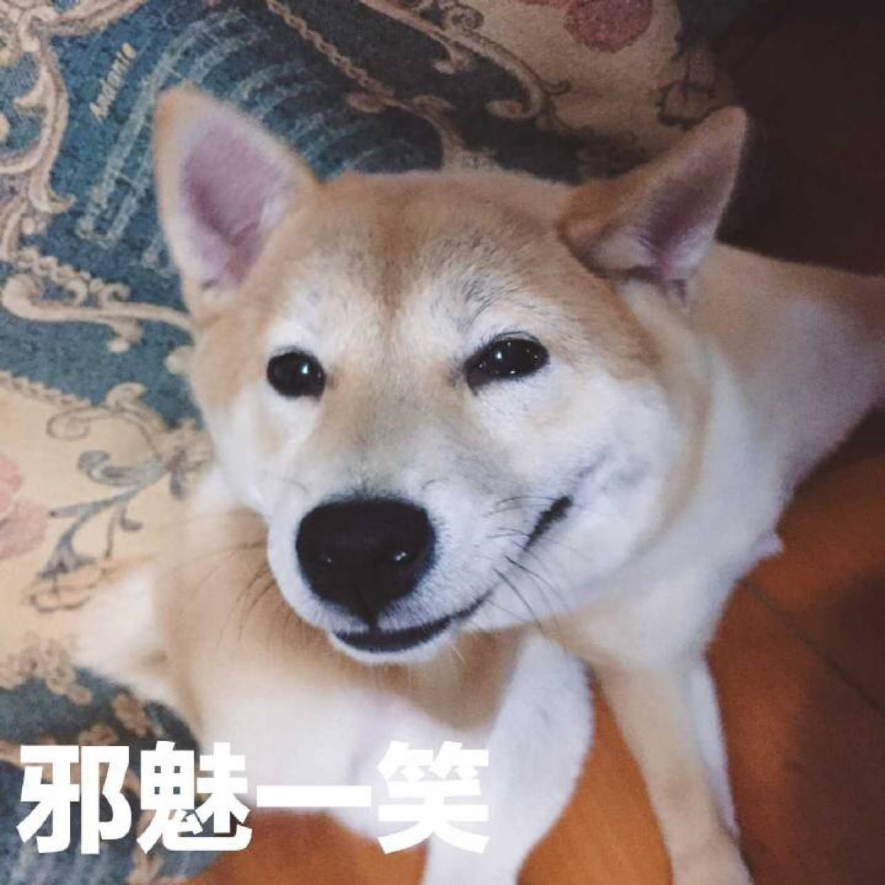 眼酱大魔王w 合集2 - 1-Everphoto_第16集