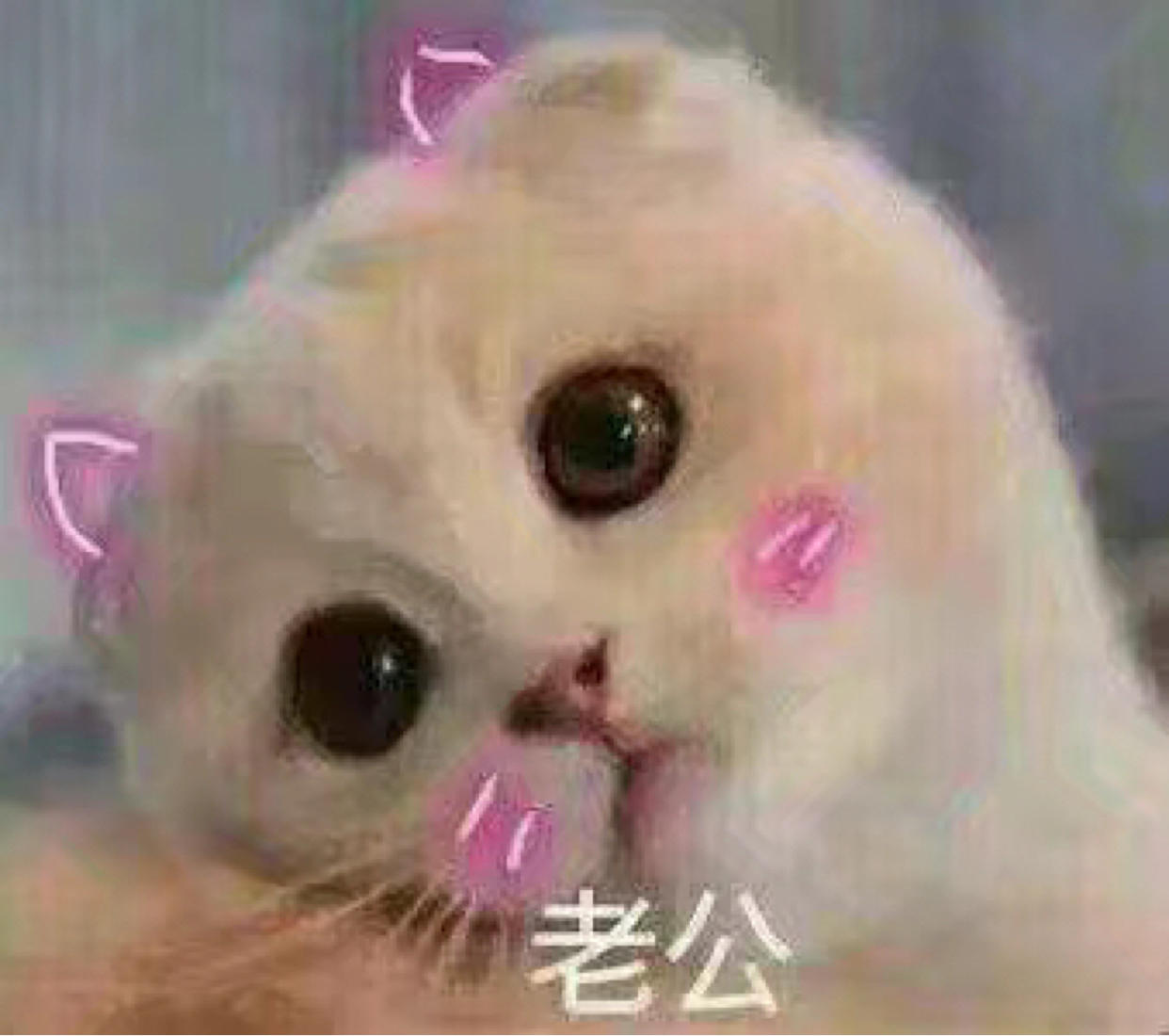 眼酱大魔王w 合集2 - 1-Everphoto_第20集