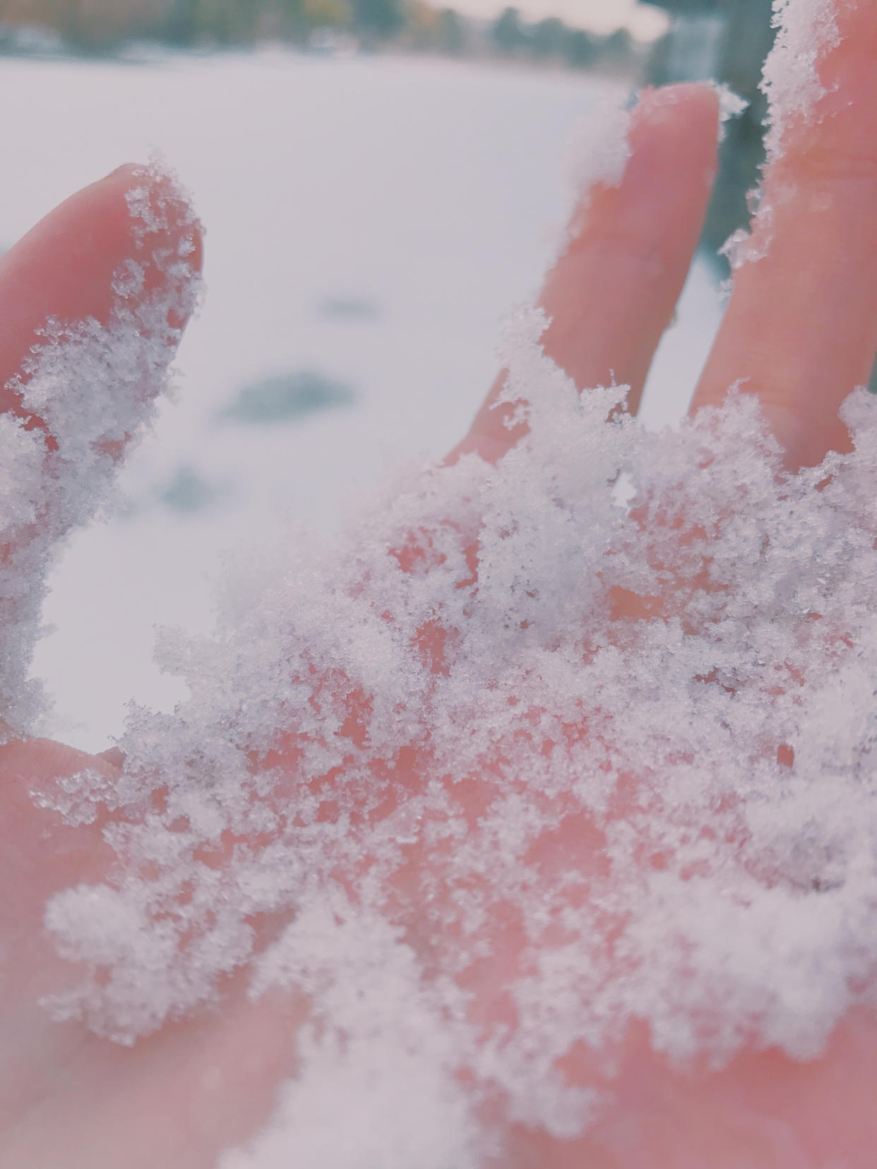 眼酱大魔王w 合集2 - 1-Everphoto_第3集