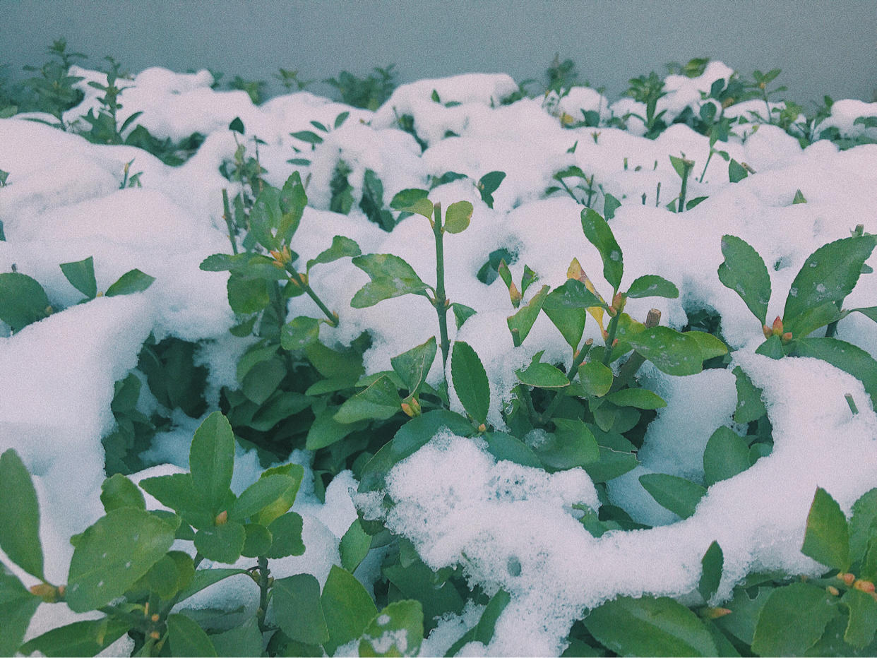 眼酱大魔王w 合集2 - 1-Everphoto_第32集