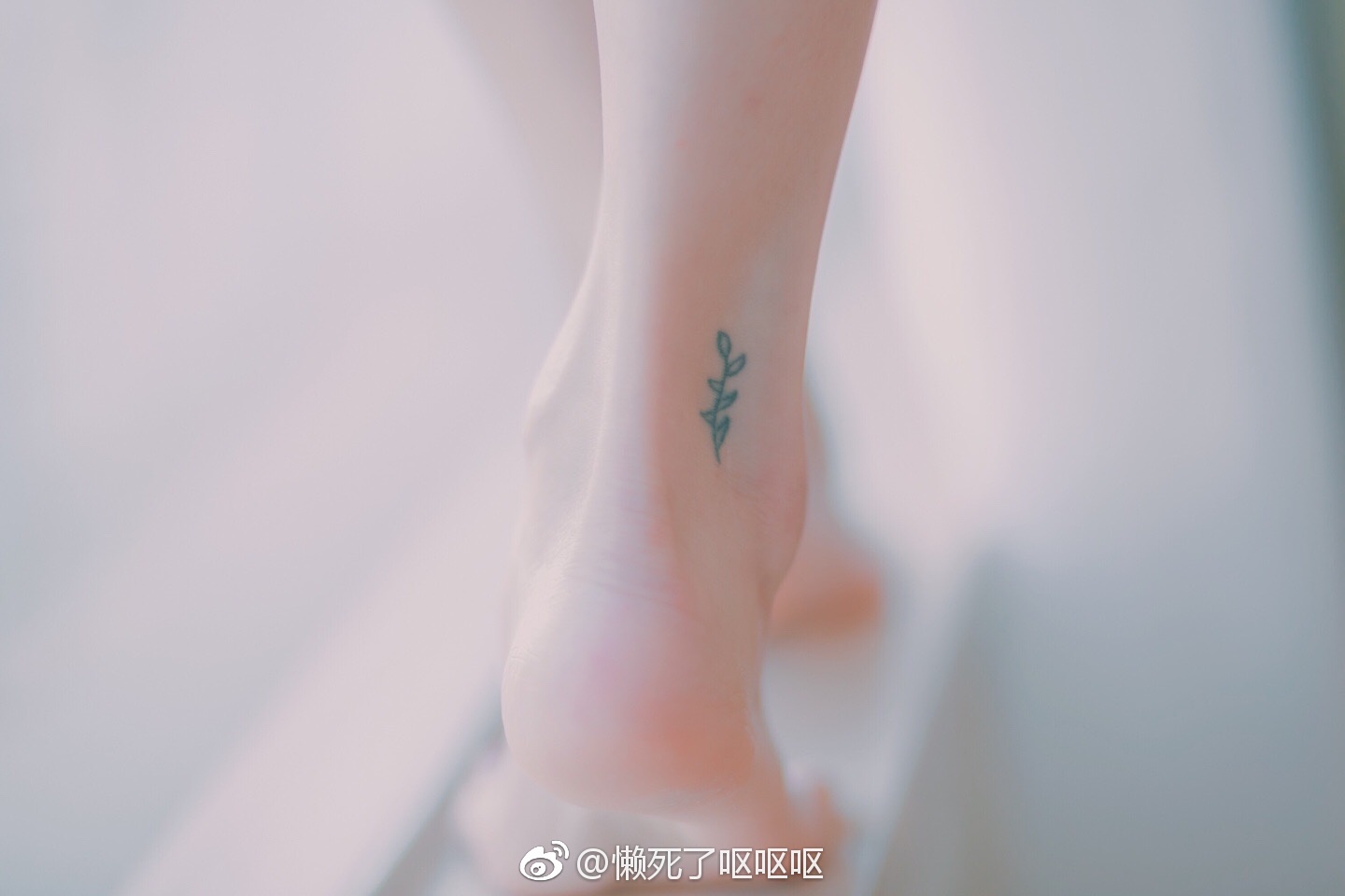 眼酱大魔王w 合集2 - 2-微博_第8集